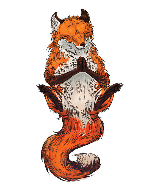 Meditating fox