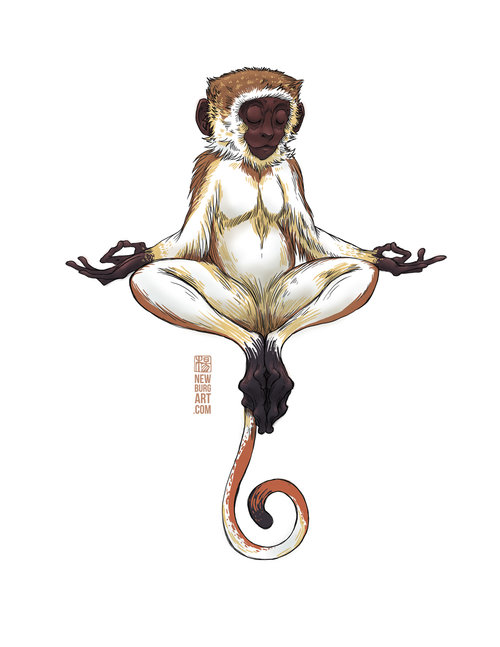 meditating monkey