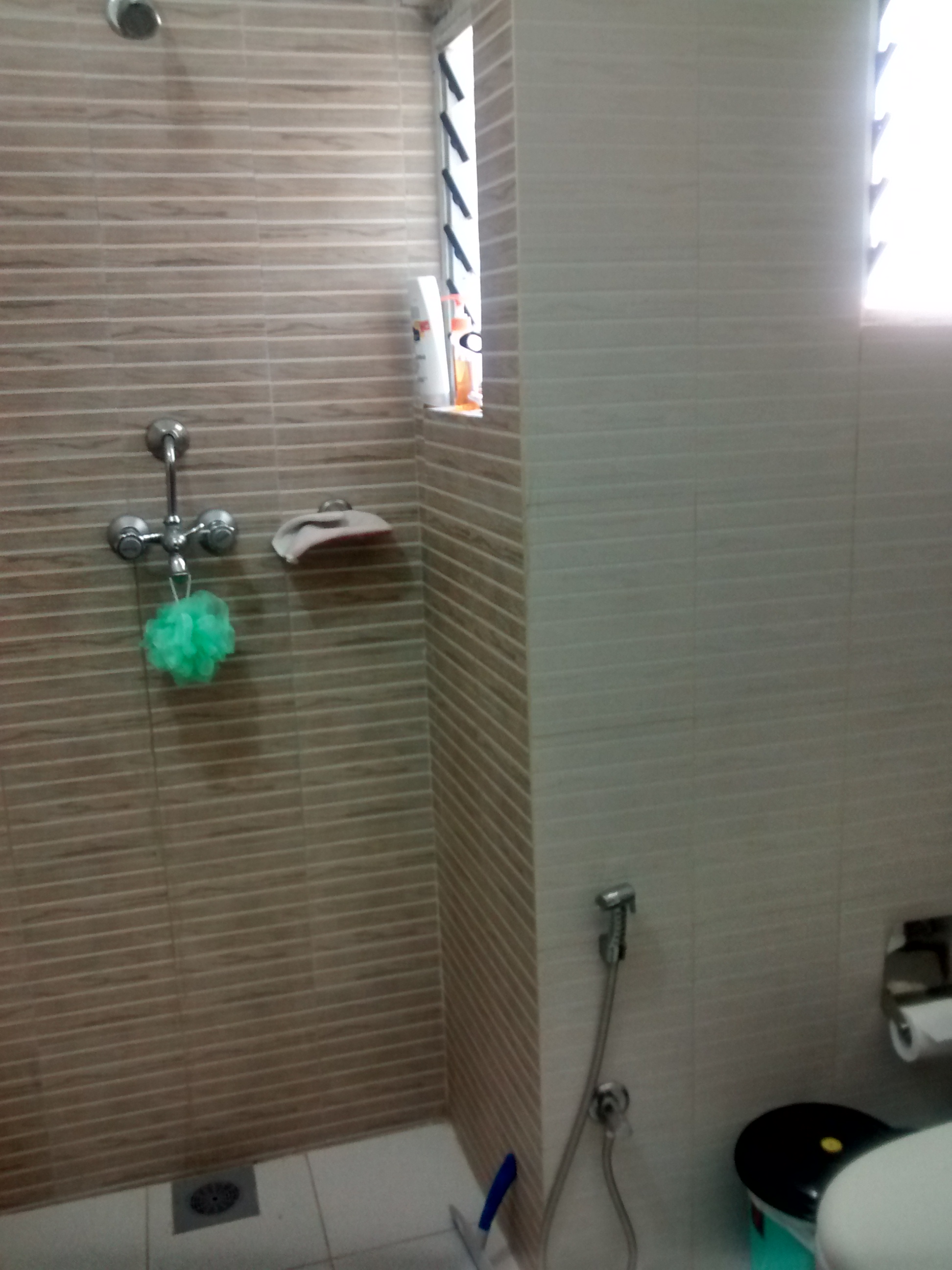The bathrooms here are usually one big room with a shower head somewhere. Its a little different but works well. Also, the plumbing system here isn't equipped to handle toilet paper. So, you can toss it, or use what we call the bum gun (the dish sprayer next to the toilet).