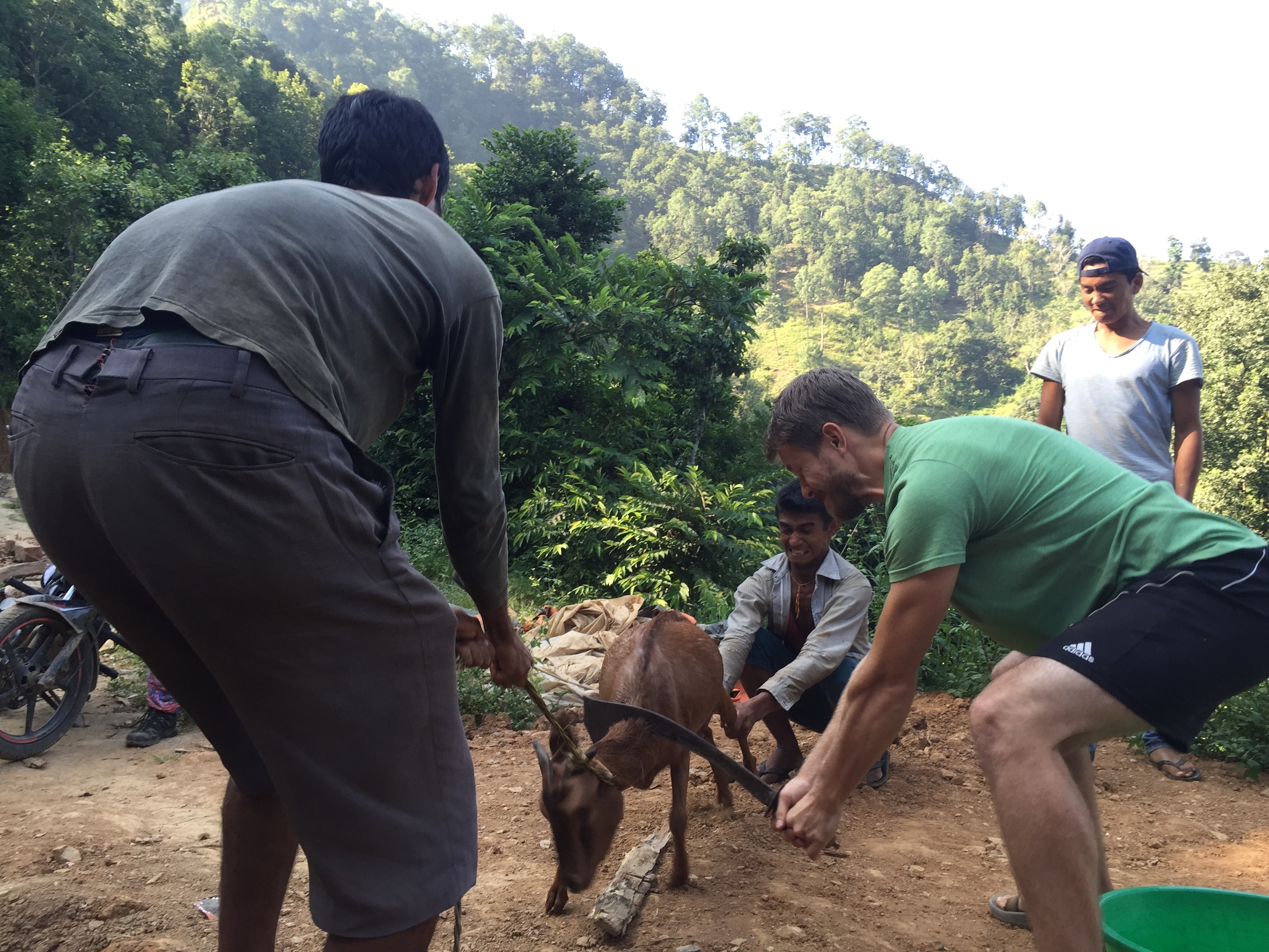 Learning to butcher a goat village style!
