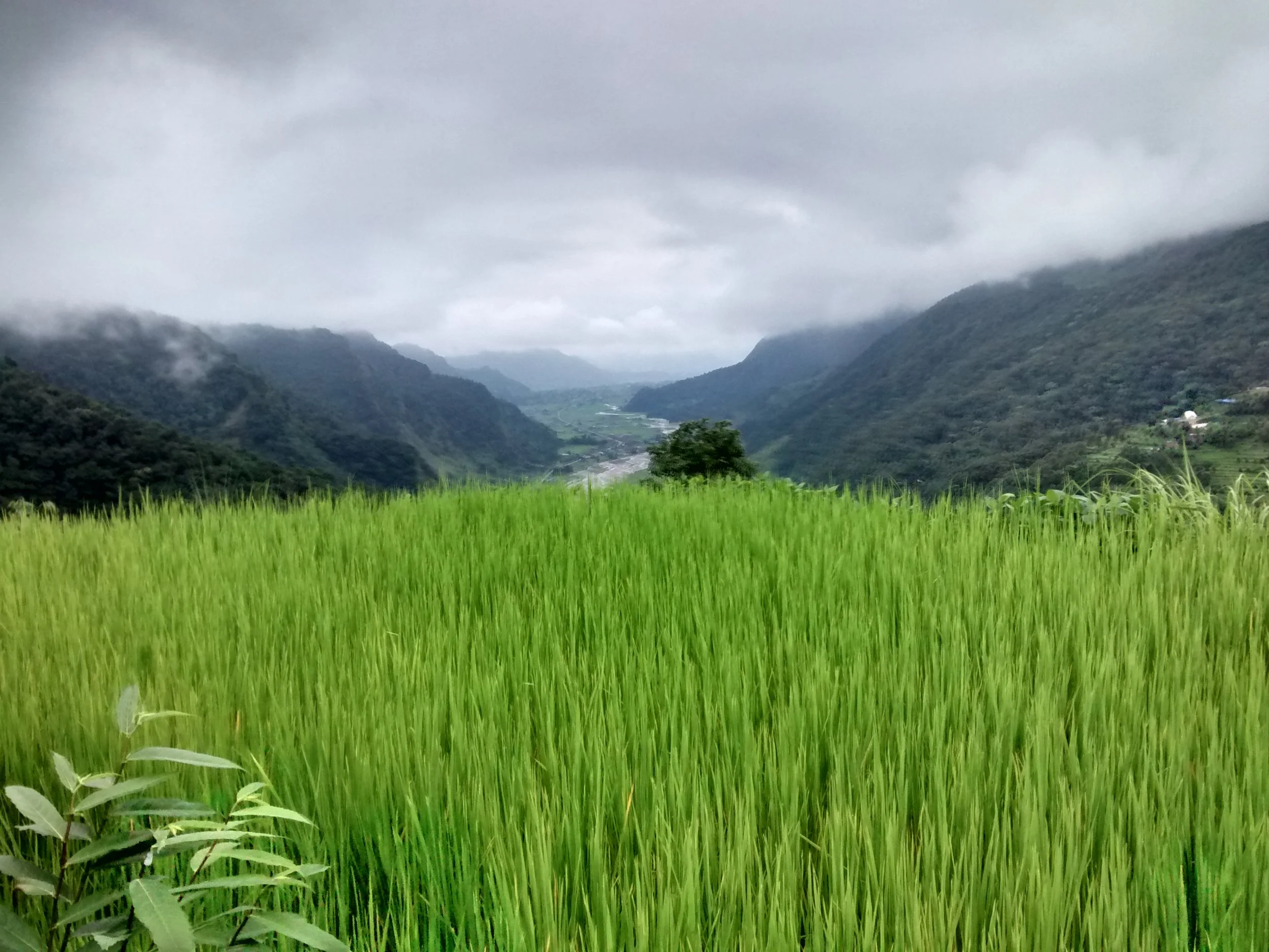 IMG_20160818_093605256_HDR.jpg
