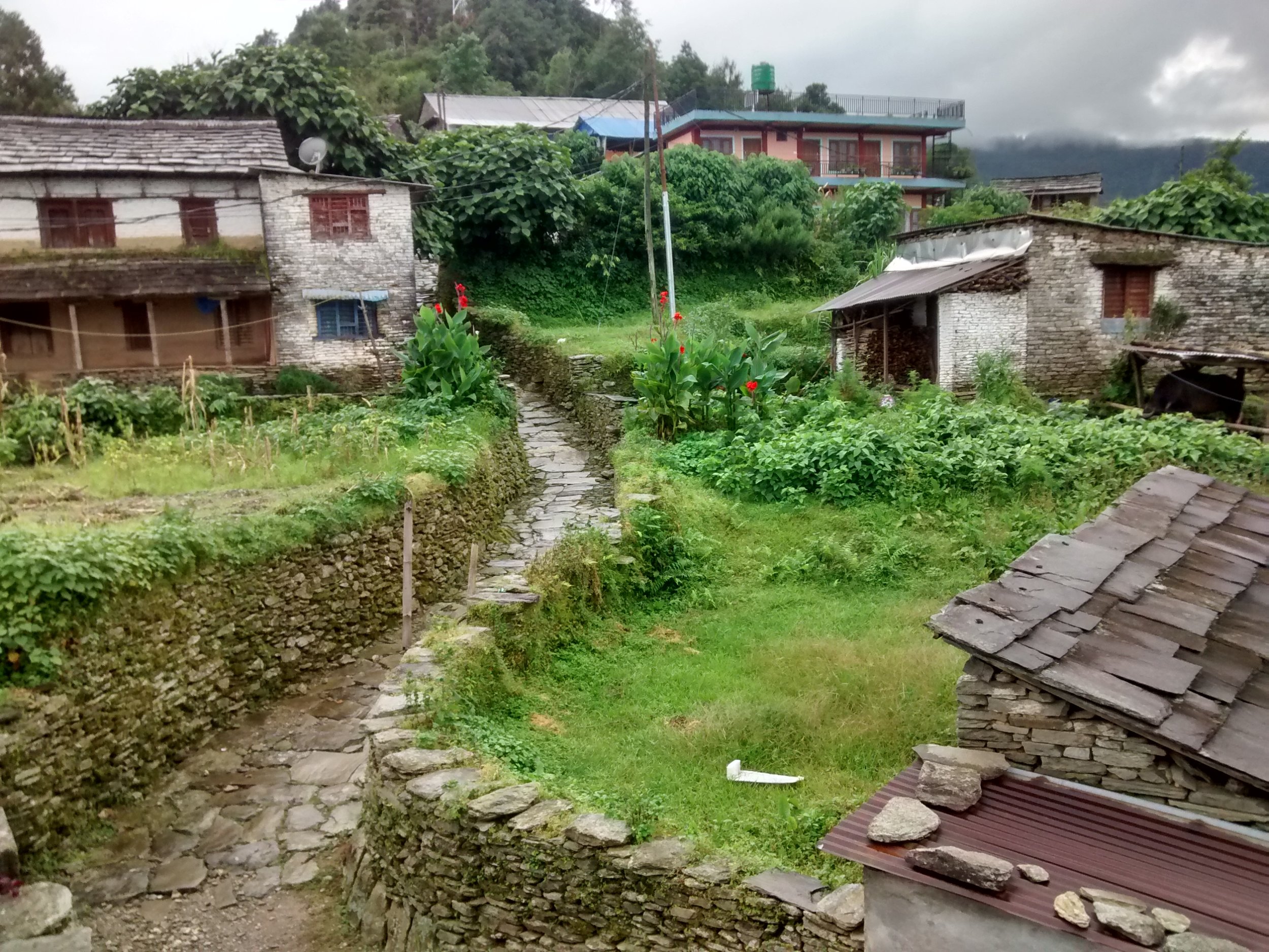 IMG_20160818_173256363_HDR.jpg
