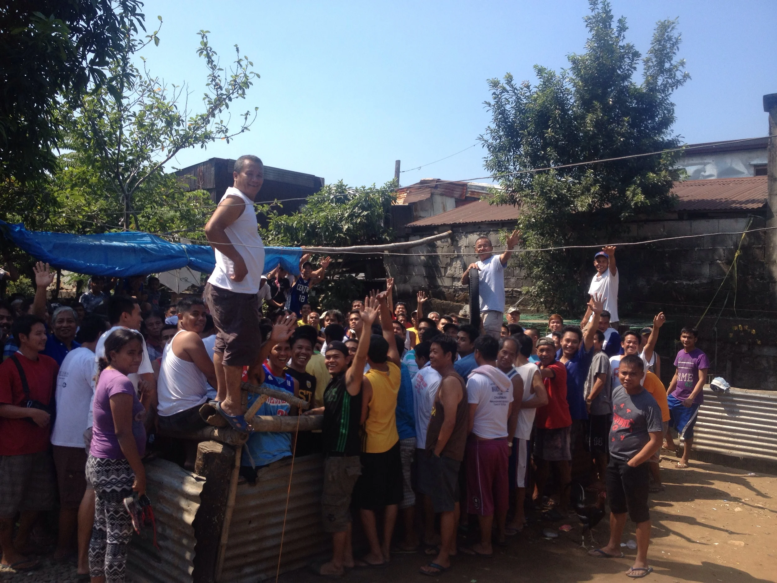 Often tupadas are just a couple of guys and their birds in an alley or the middle of the street. Here, there is a makeshift arena with corrugated iron sheets and a few bamboo poles. Wooden benches become perches for bystanders. 