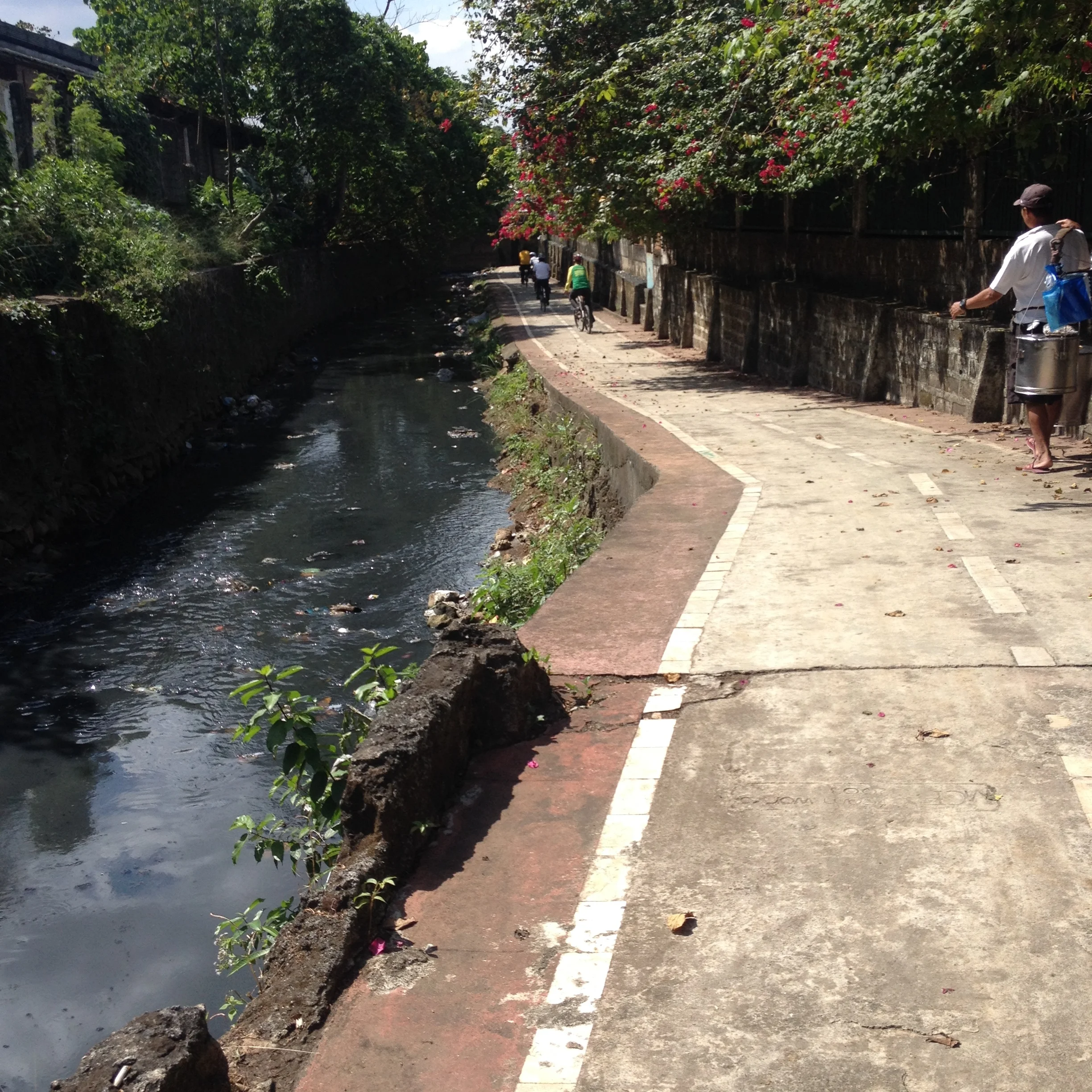 Here the lane dips down and no longer has a railing. The city plans to compliment these areas with greening programs. 