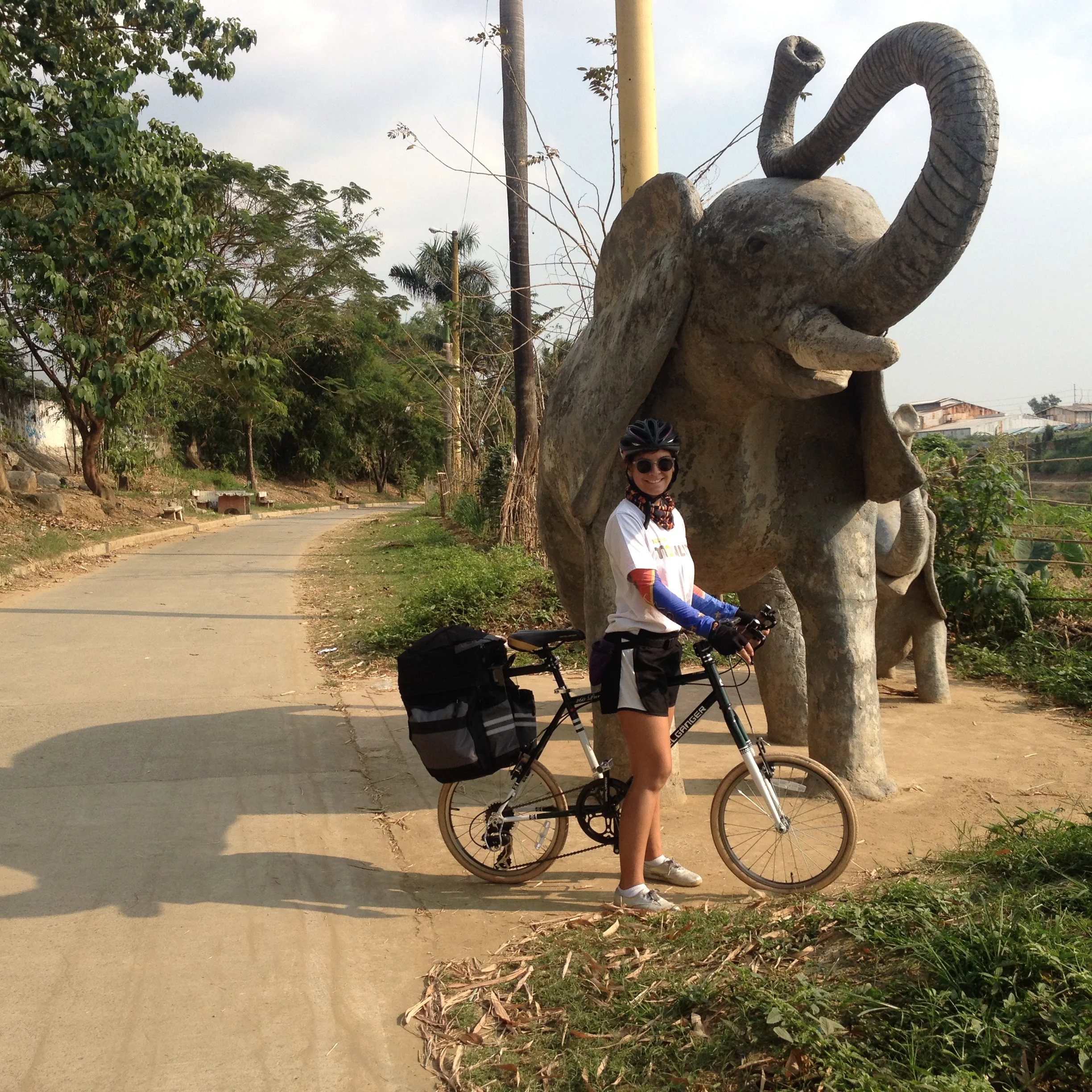 Leaving Marikina to Pasig, I exit the city along the riverfront which connects to bike lanes leading to Santolan LRT Station. This particular stretch is called Animal Trail...named for the random series of concrete animal statues. 