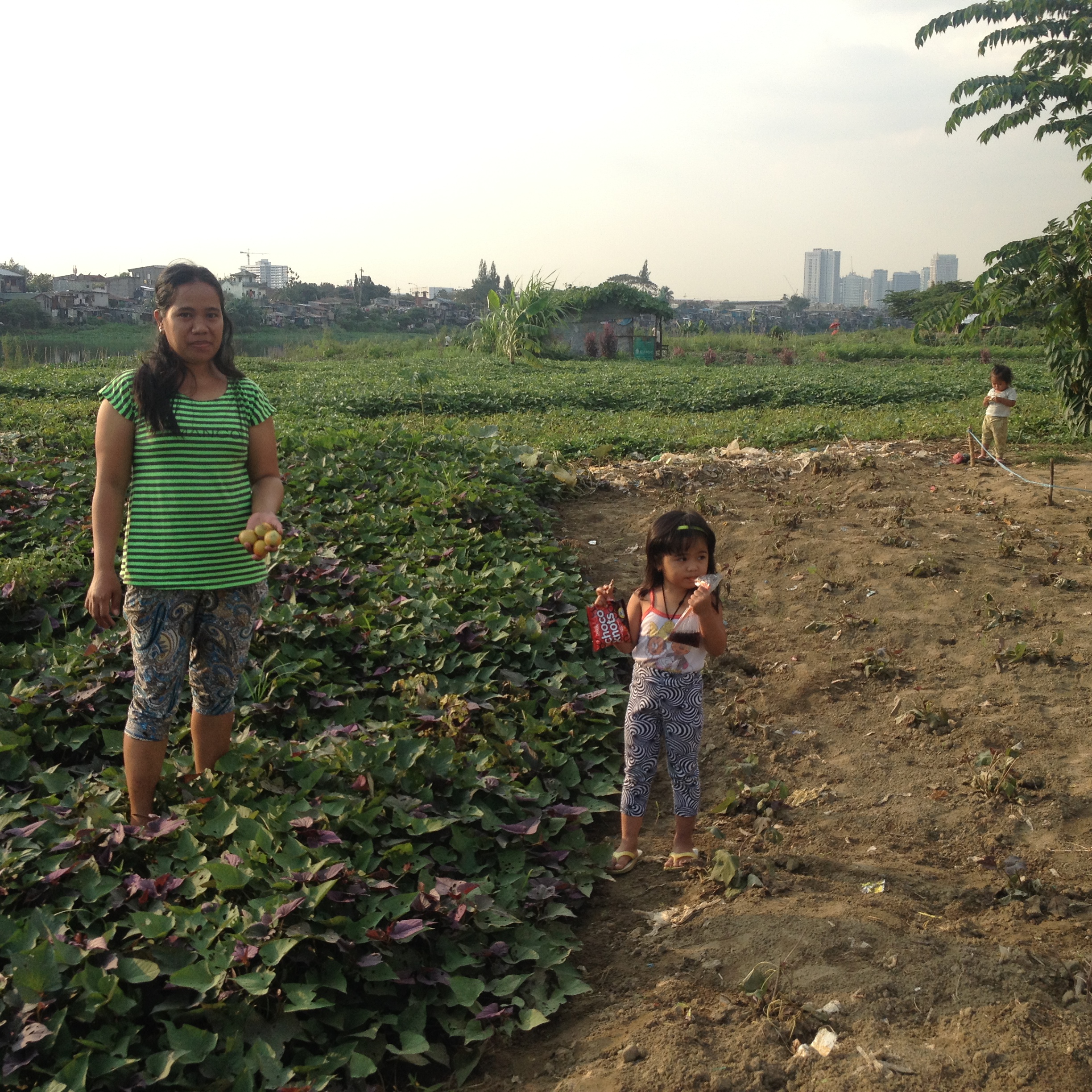 This mother named Evelyn shows me tomatoes she is growing for her family. 