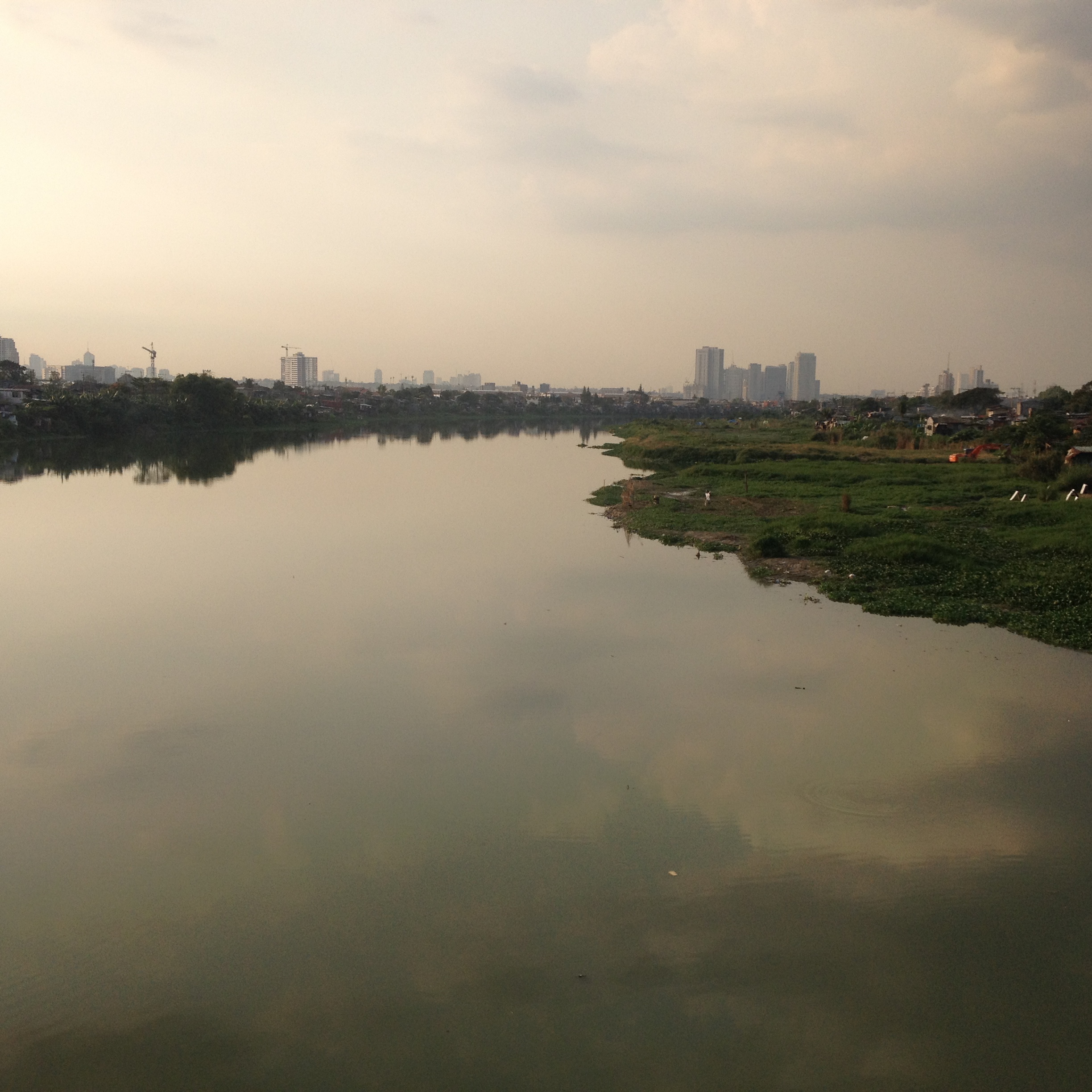 A view of the river's edge from the Javier bridge. The water on this side is complete clear. 