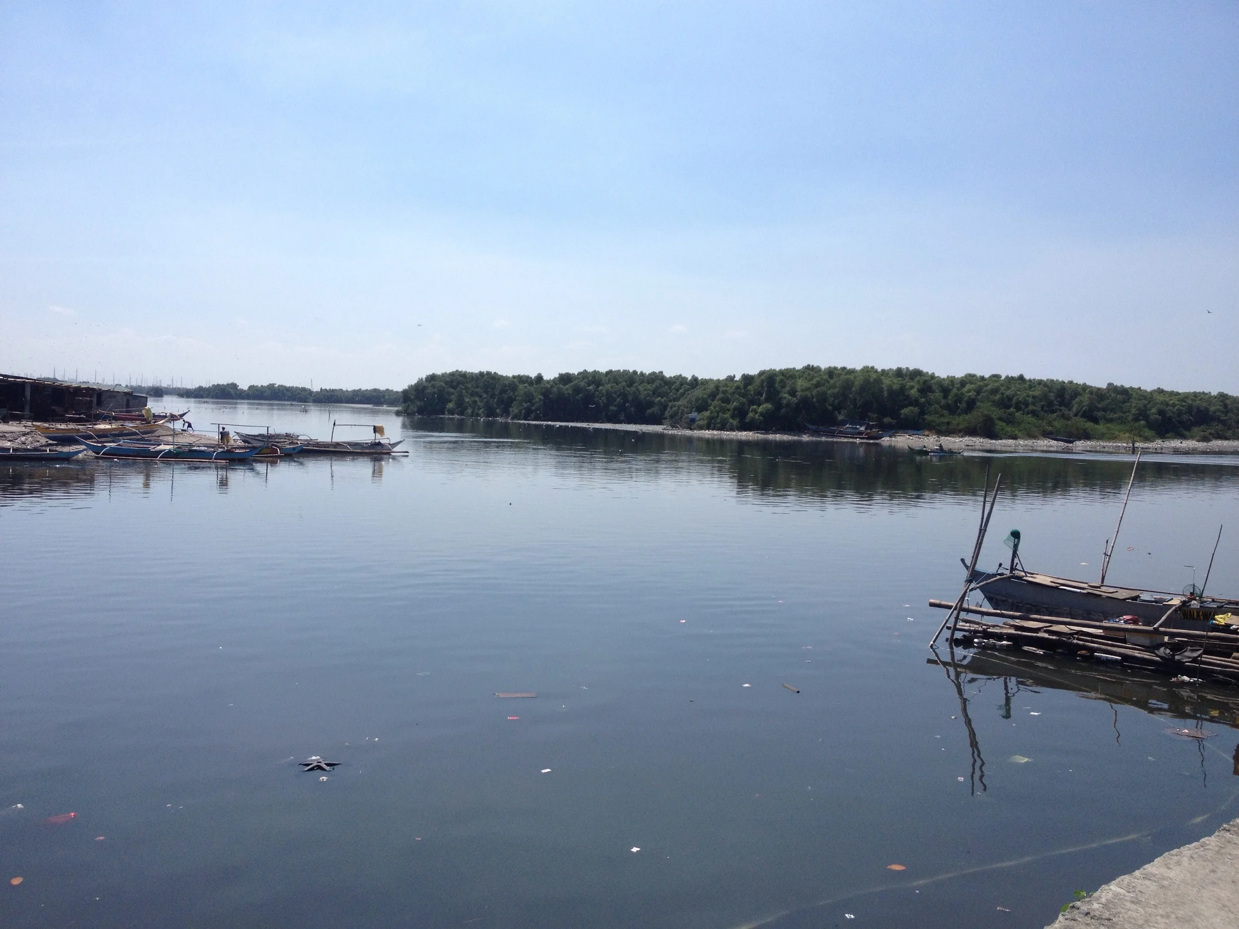 The ecotourism area should also be accessible by boat from the service road (pictured here) connecting from Macapagal. 