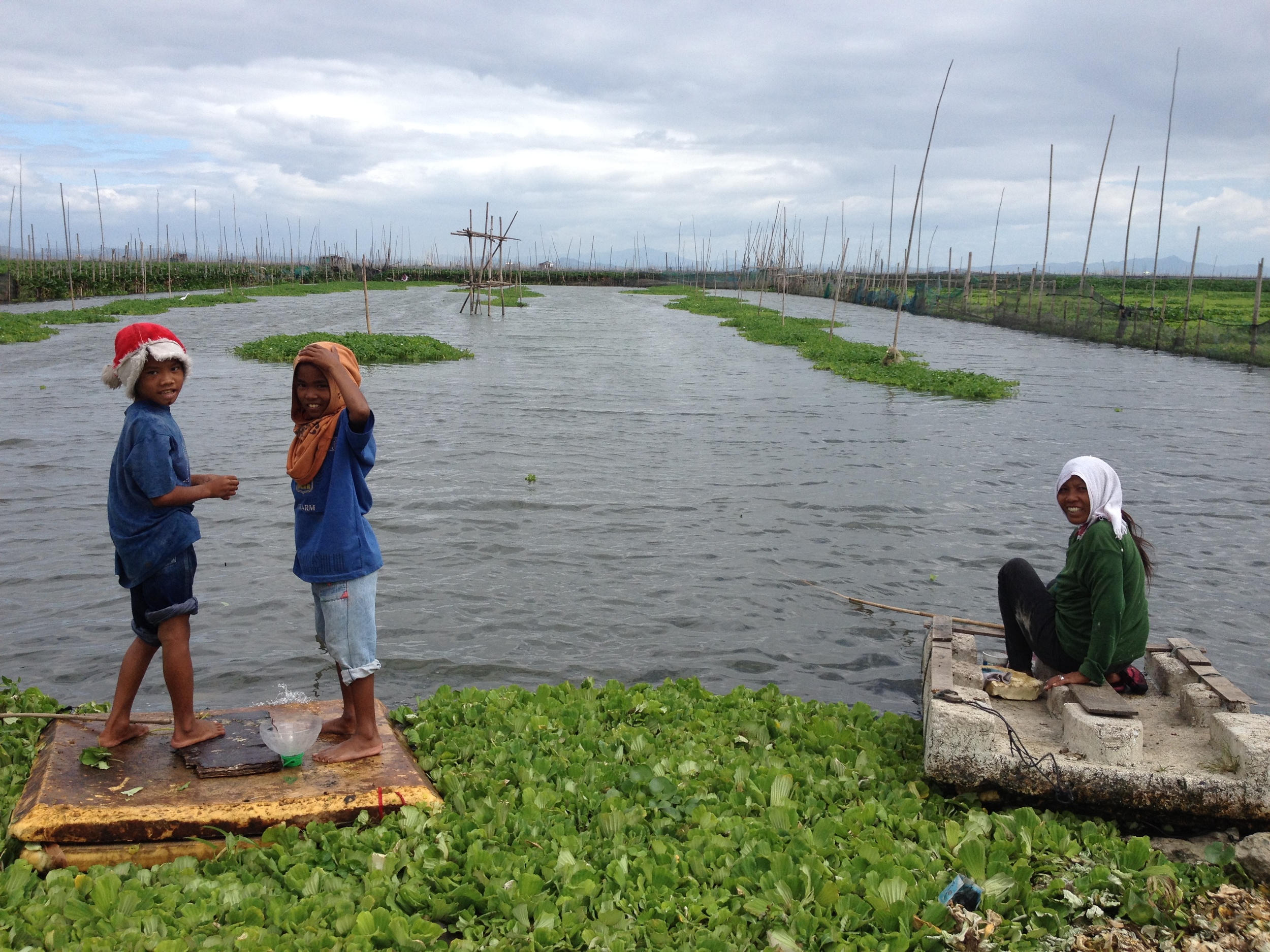 Taguig side of Laguna de Bay 