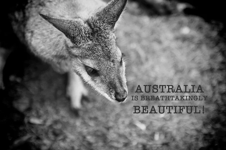 G'day Australia 2015