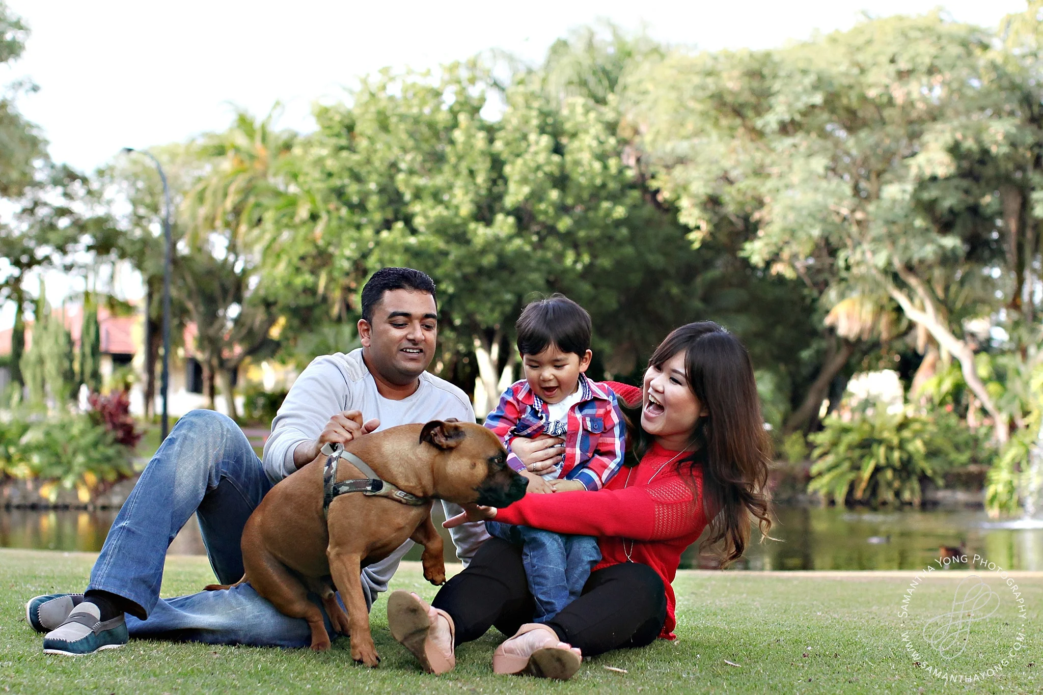 Family Portrait: The Francis