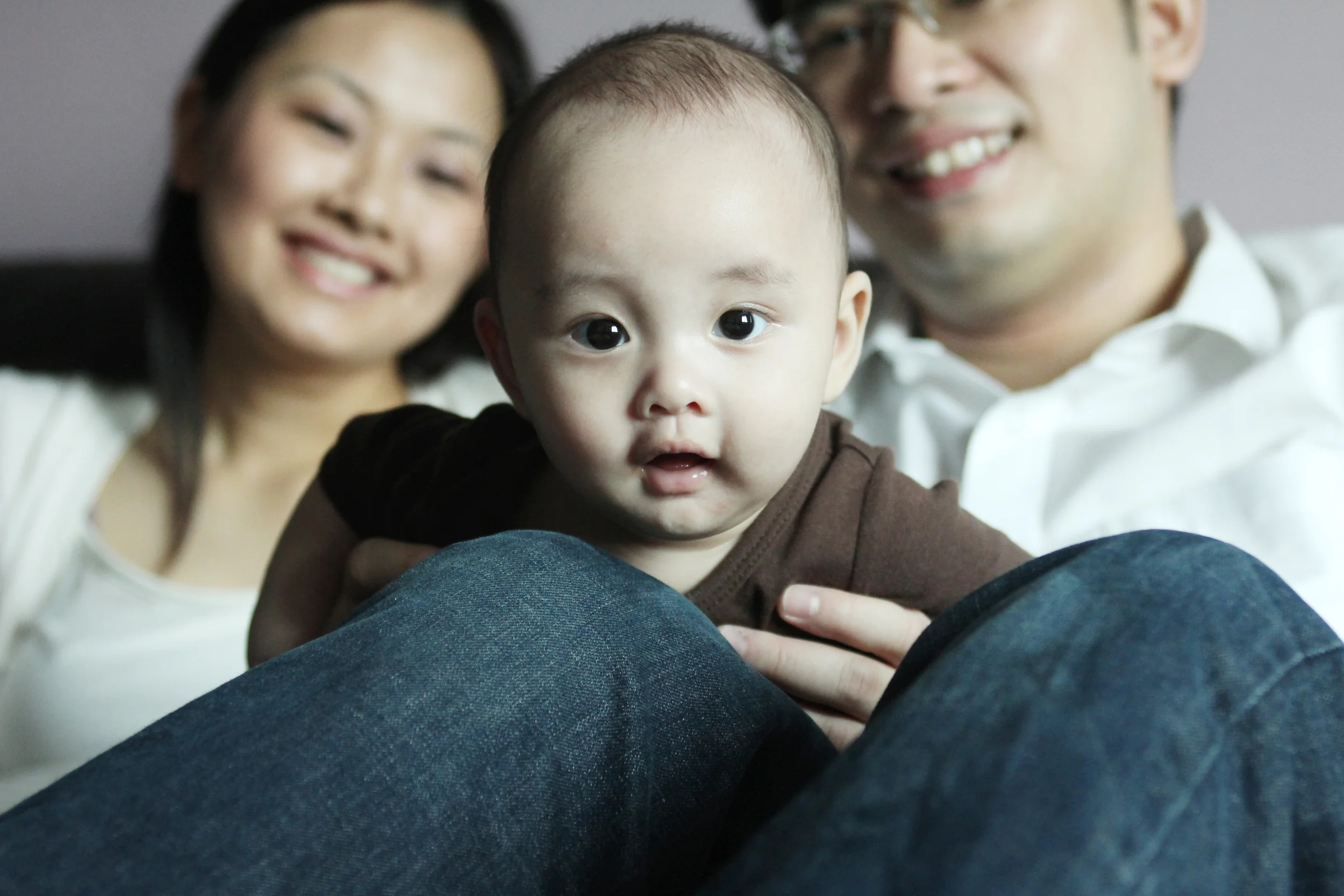 Family Portraits: The Loois