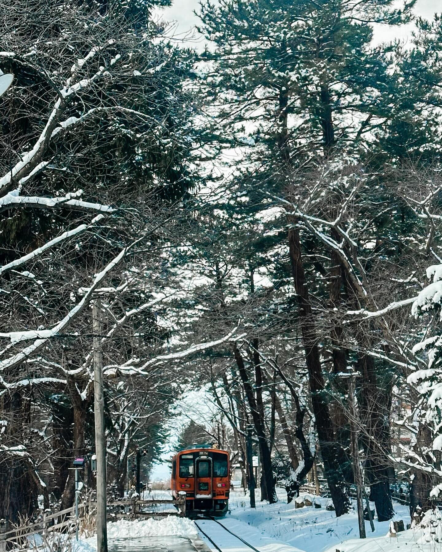 Goshogawara - one of our trip highlights was getting on the stove train to nowhere. We literally took the train and alighted at the next stop, more than 30mins later. 

Run by Tsugaru Railway, this train only operates from 1 Dec to 31 March. With the