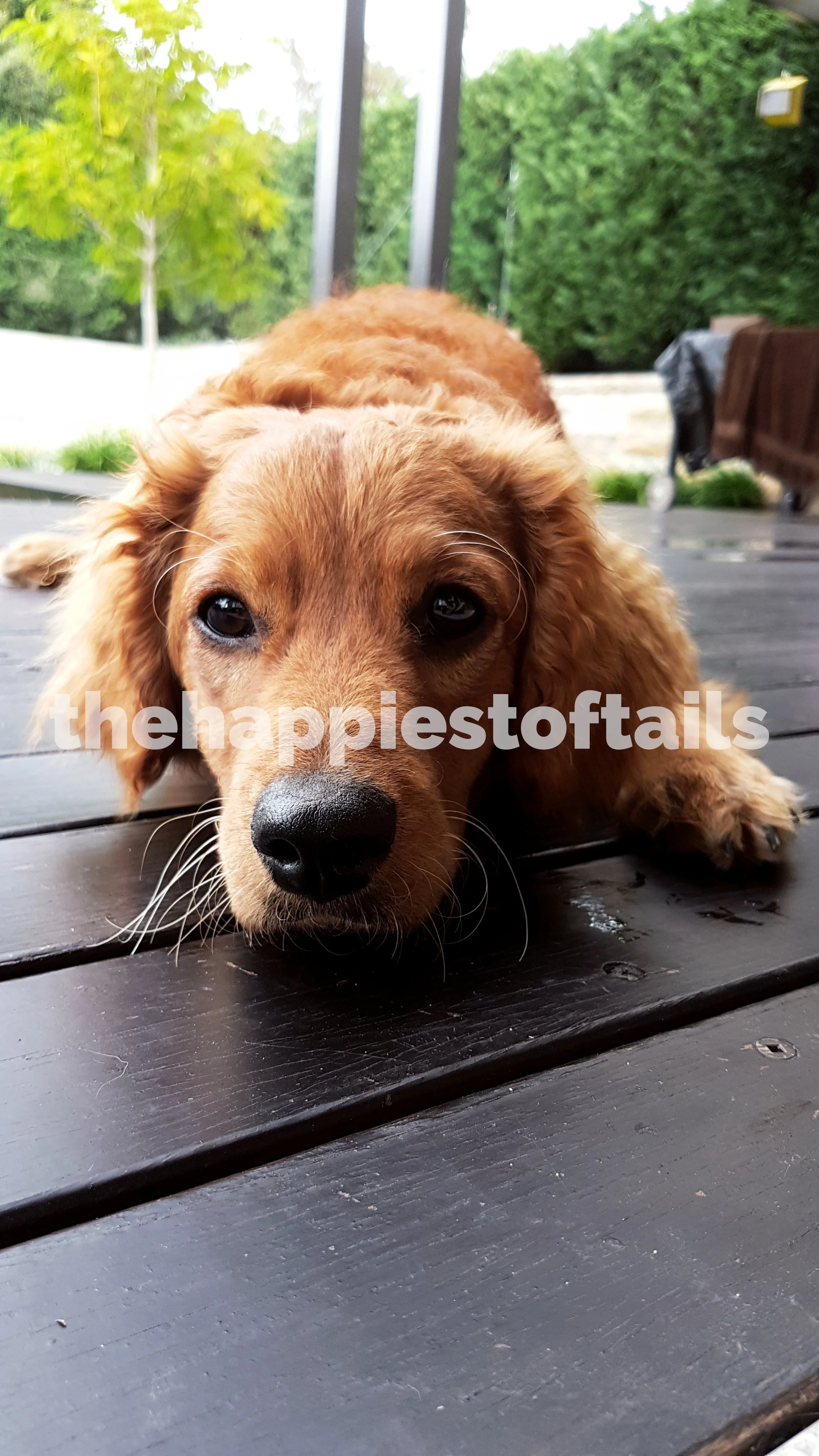  PHOTO CODE  ARCH17-001  