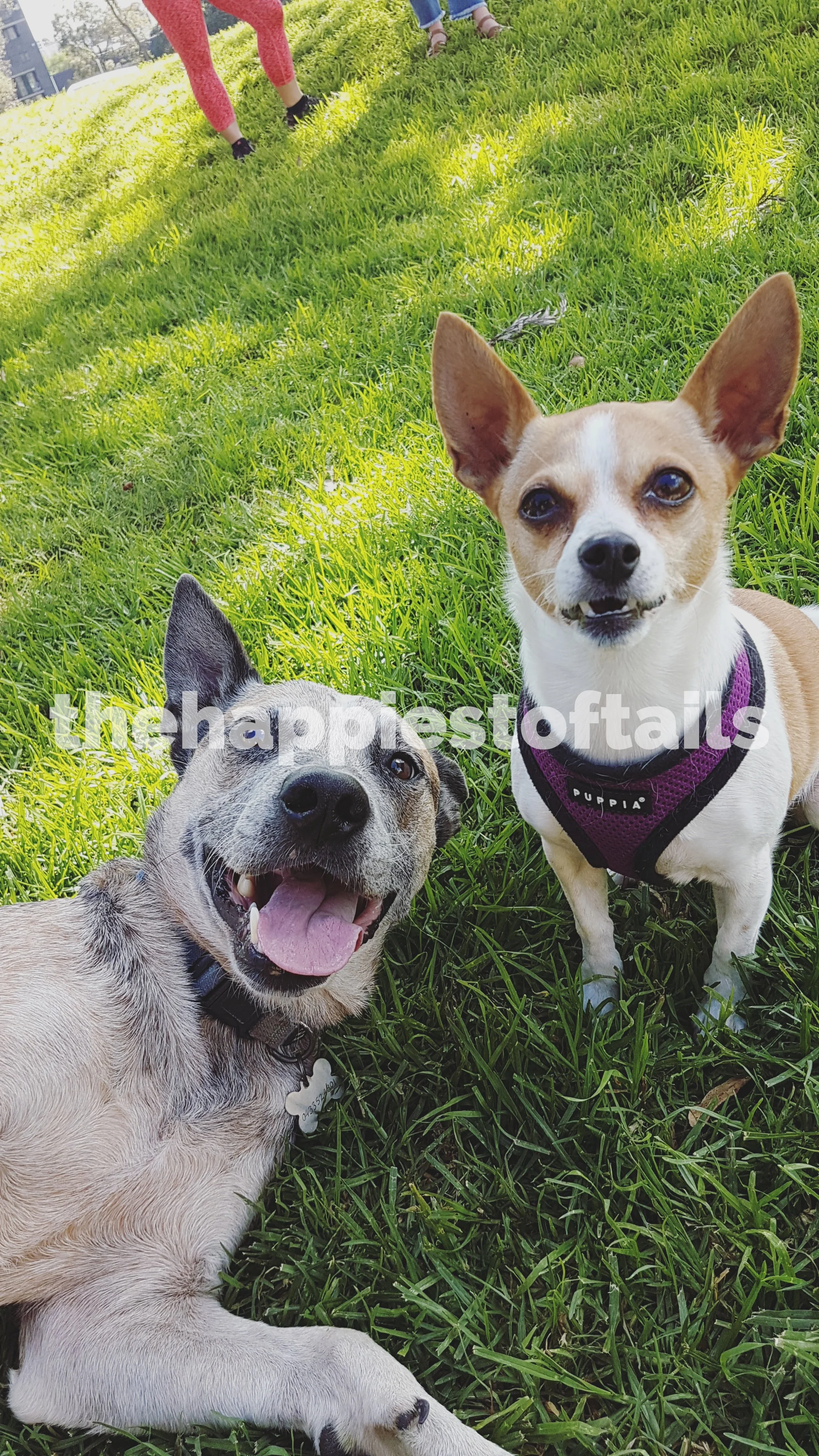  PHOTO CODE  ARCH17-003  