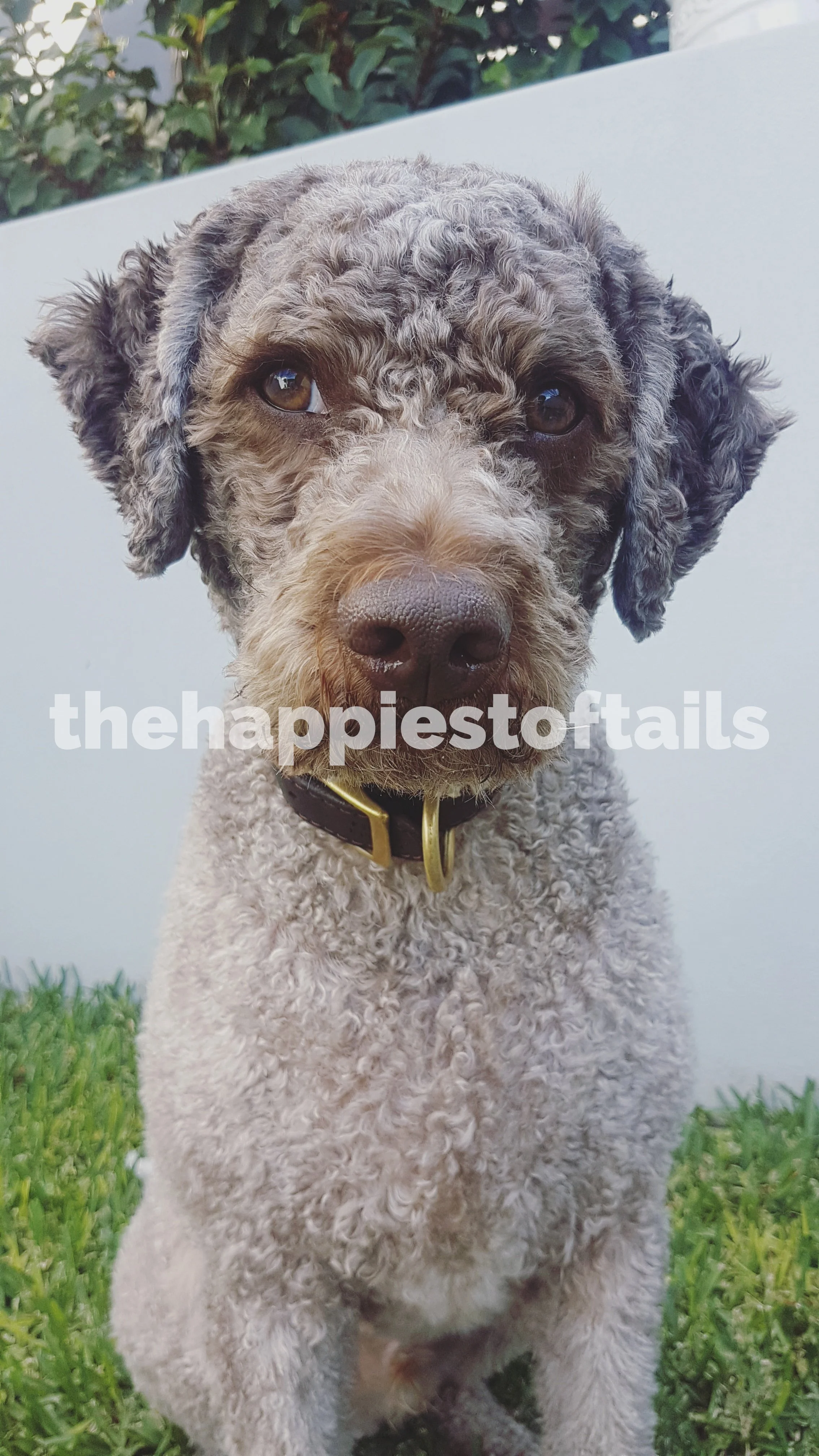  PHOTO CODE  ARCH17-020  