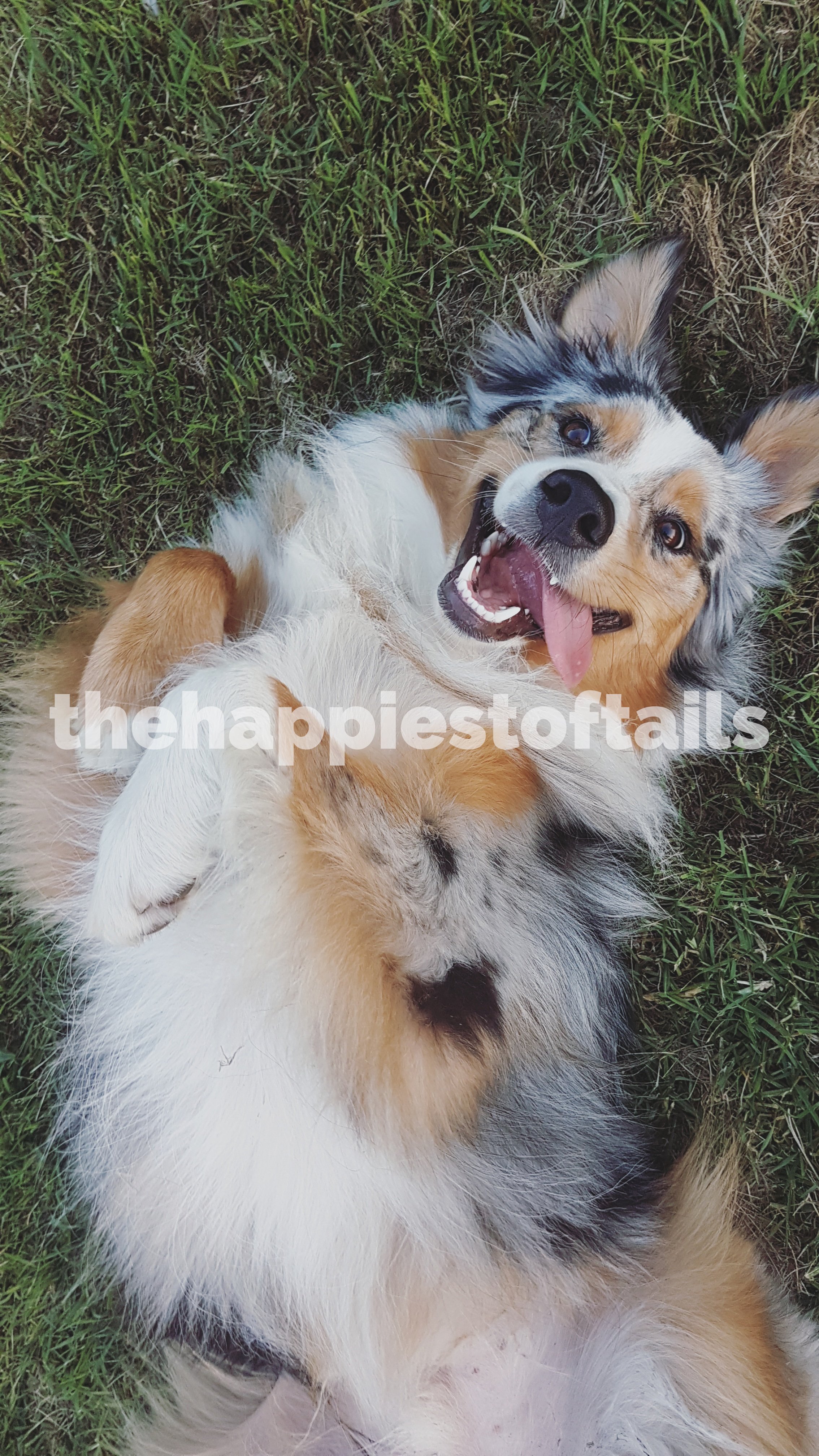  PHOTO CODE  ARCH17-027  