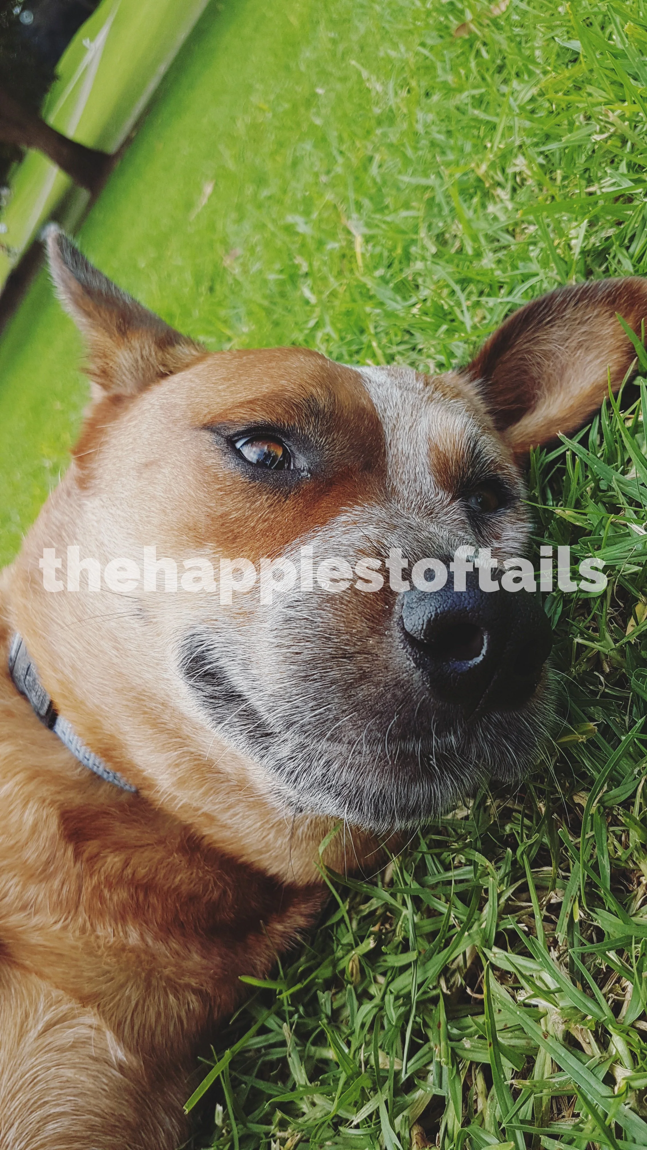  PHOTO CODE  ARCH17-042  