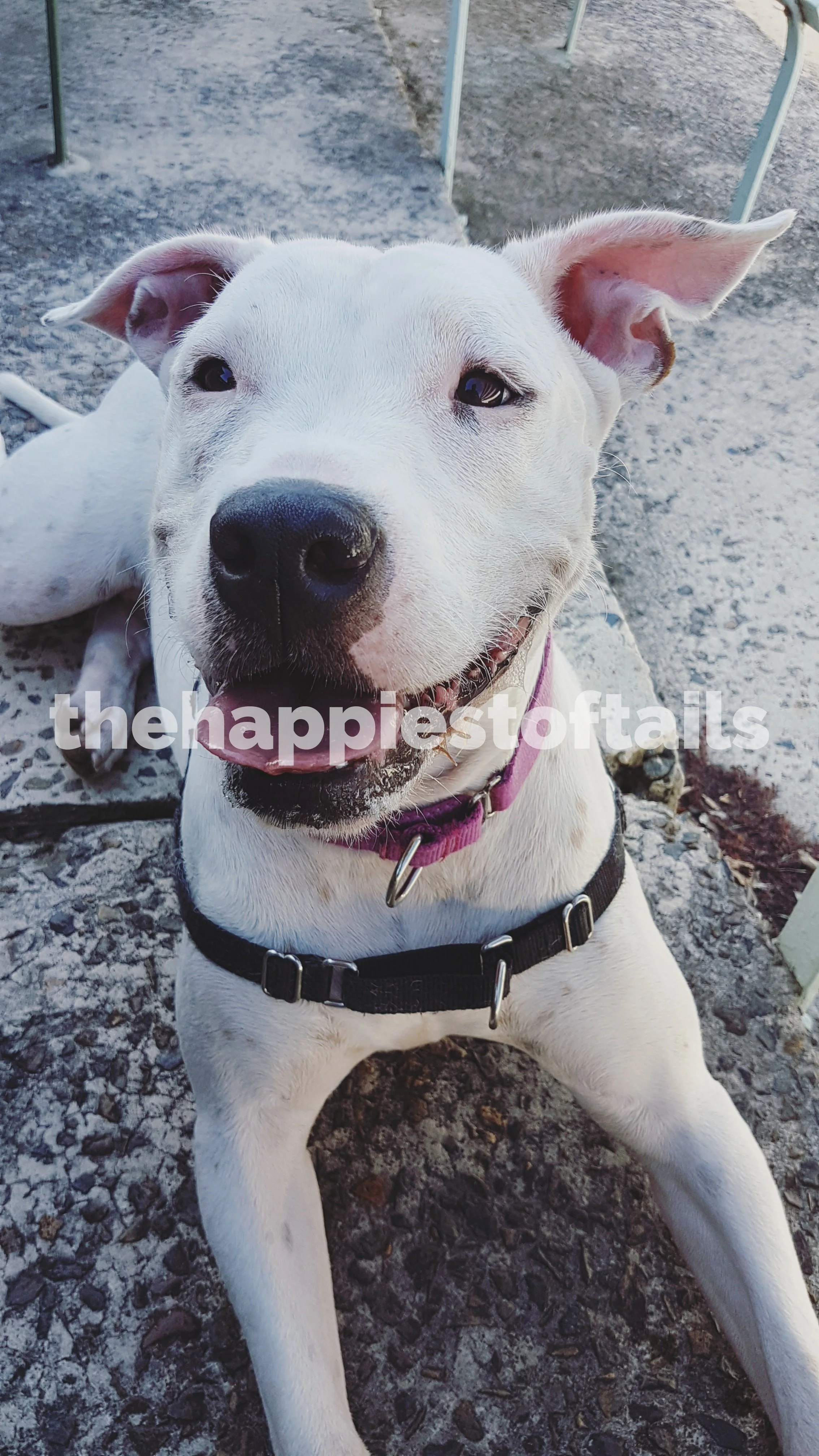  PHOTO CODE  ARCH17-007  