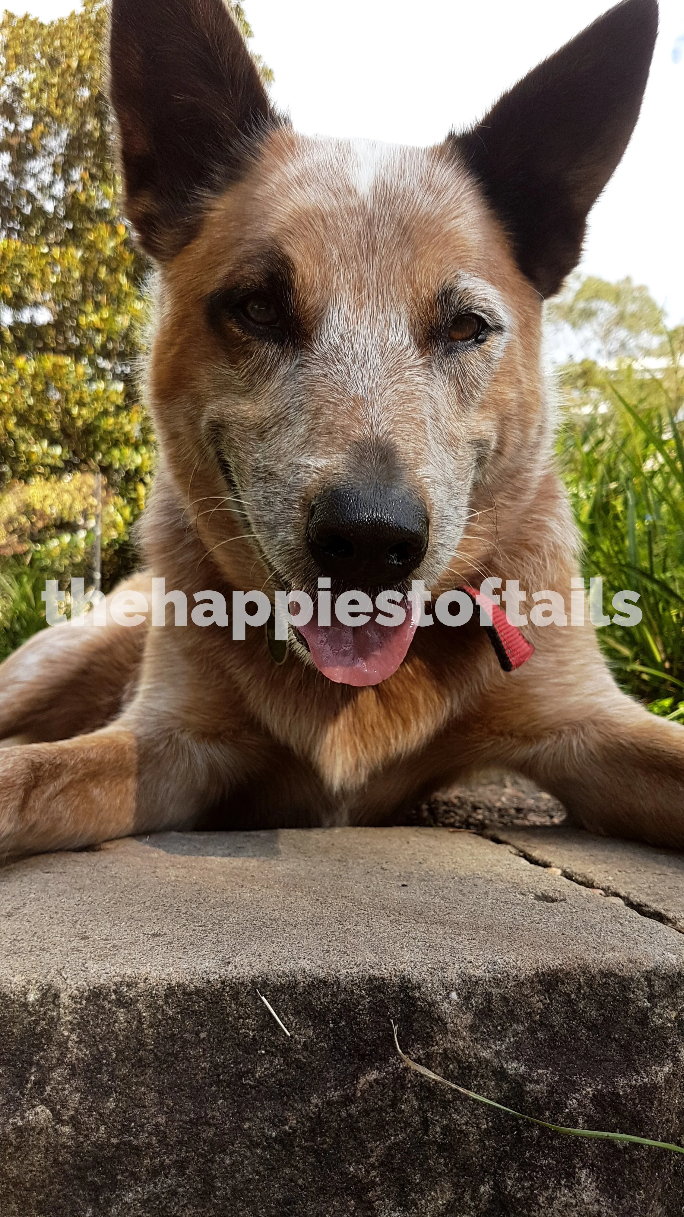  PHOTO CODE  ARCH17-067  