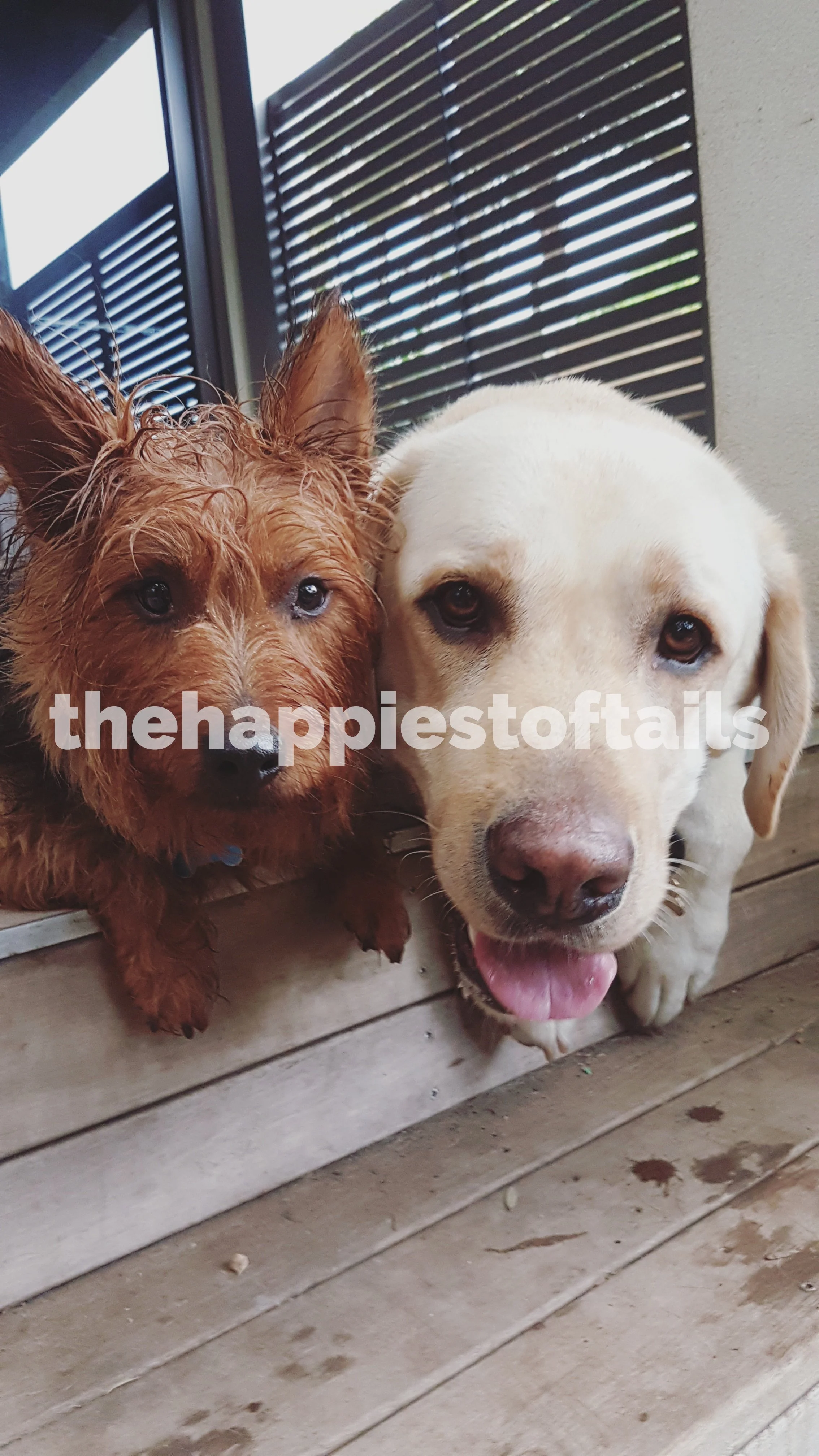  PHOTO CODE  ARCH17-061  