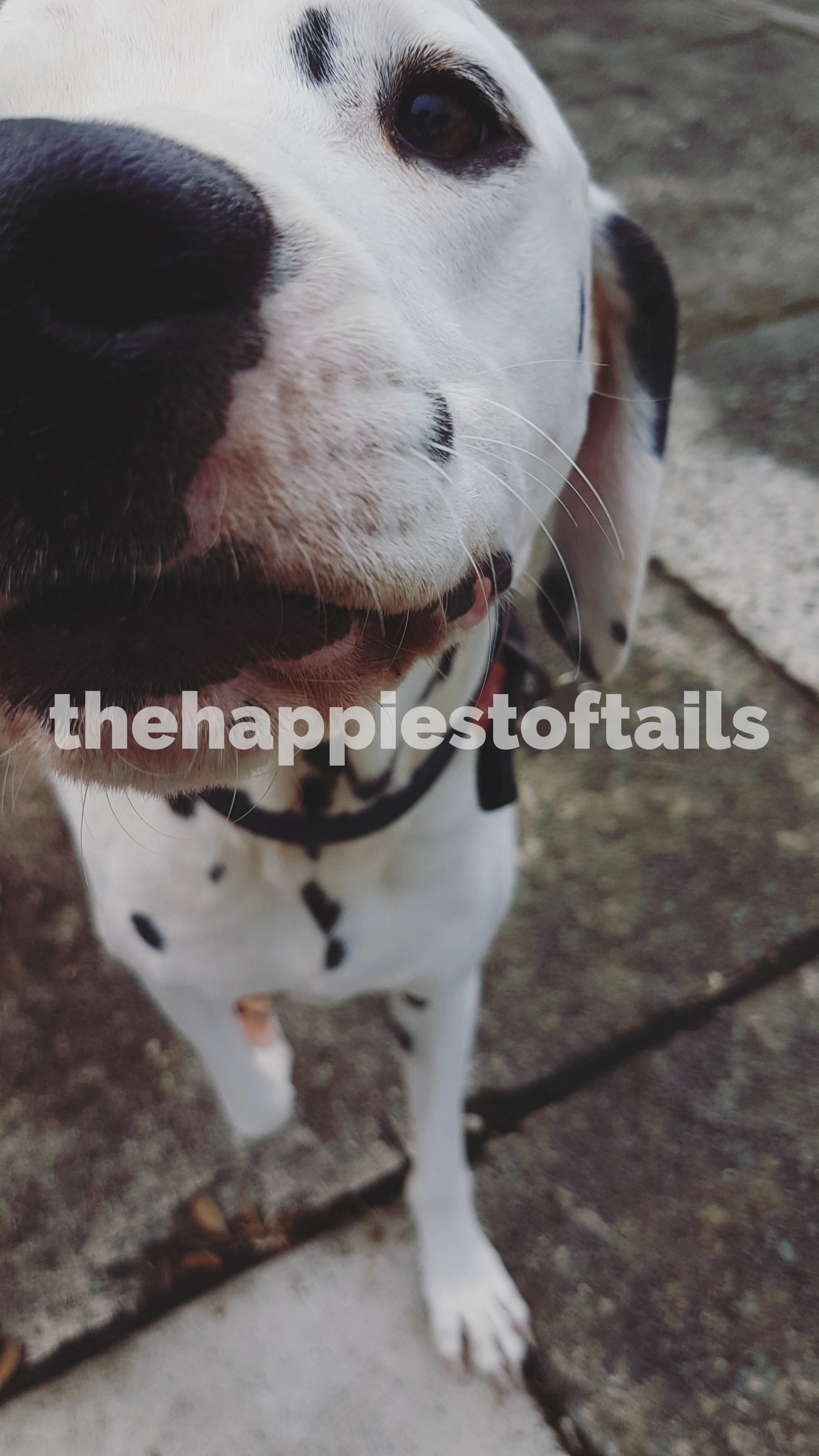  PHOTO CODE  ARCH17-056  