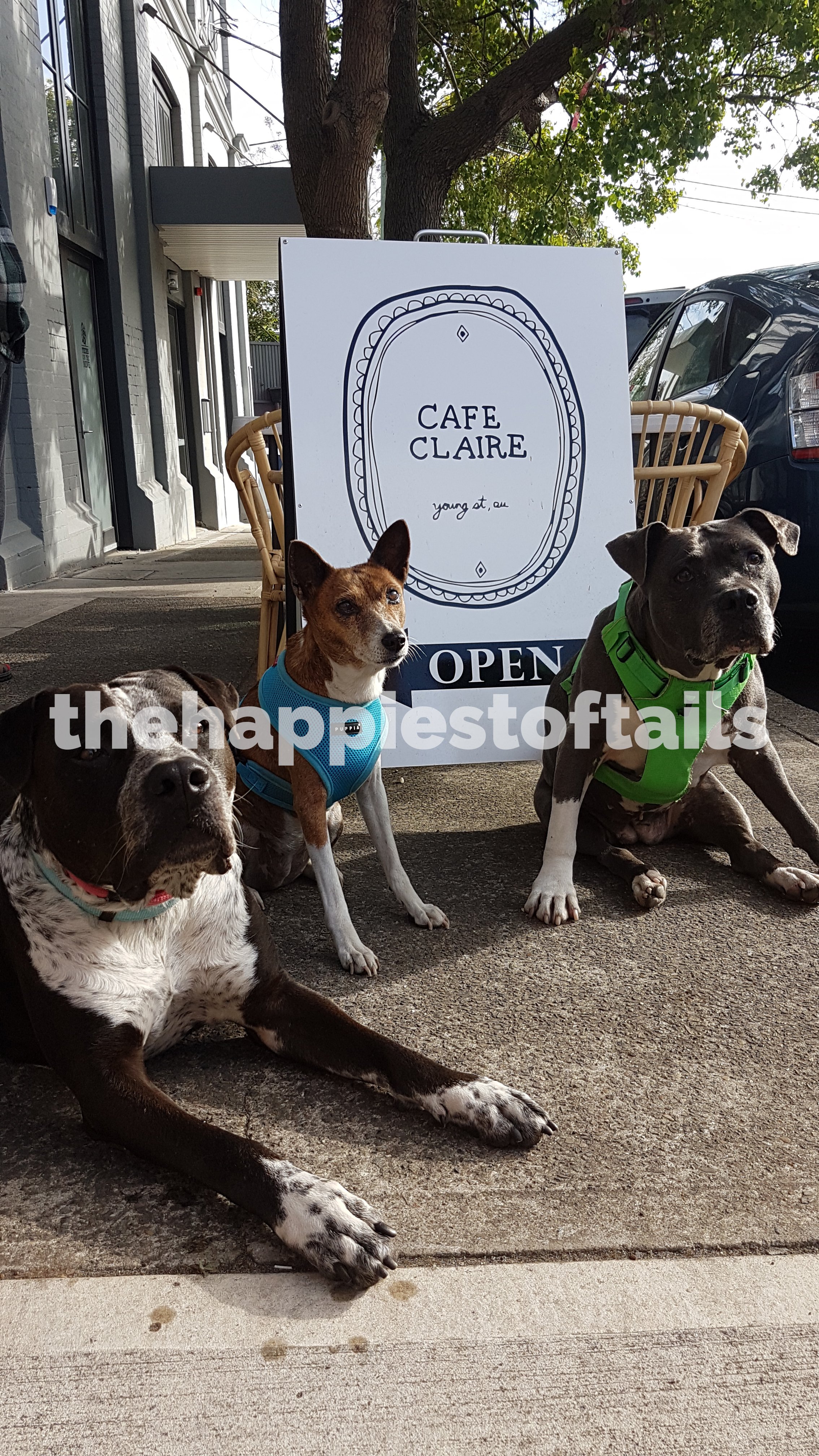  PHOTO CODE  ARCH17-057  