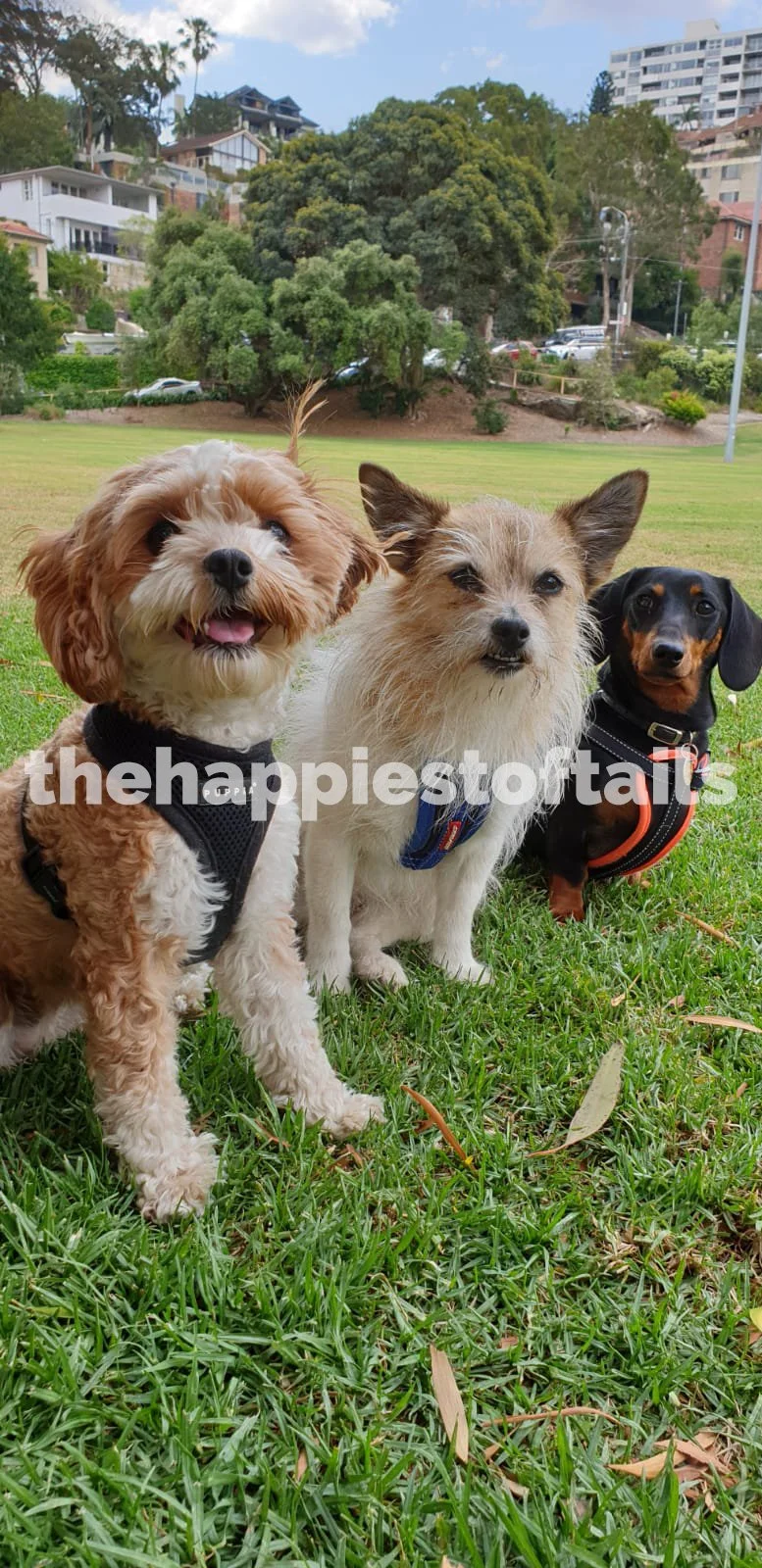  PHOTO CODE  ARCH19-002  