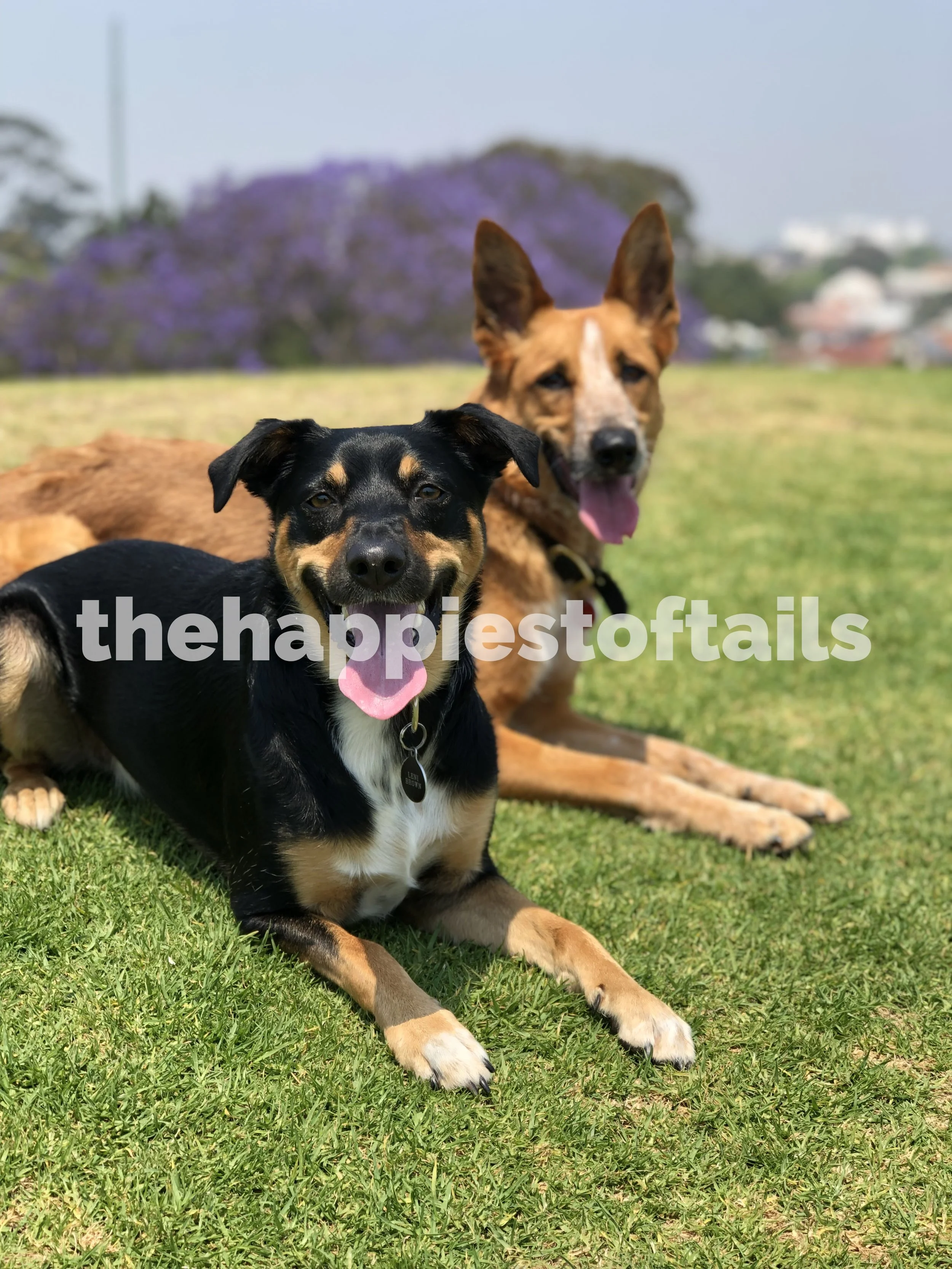  PHOTO CODE  ARCH19-038  