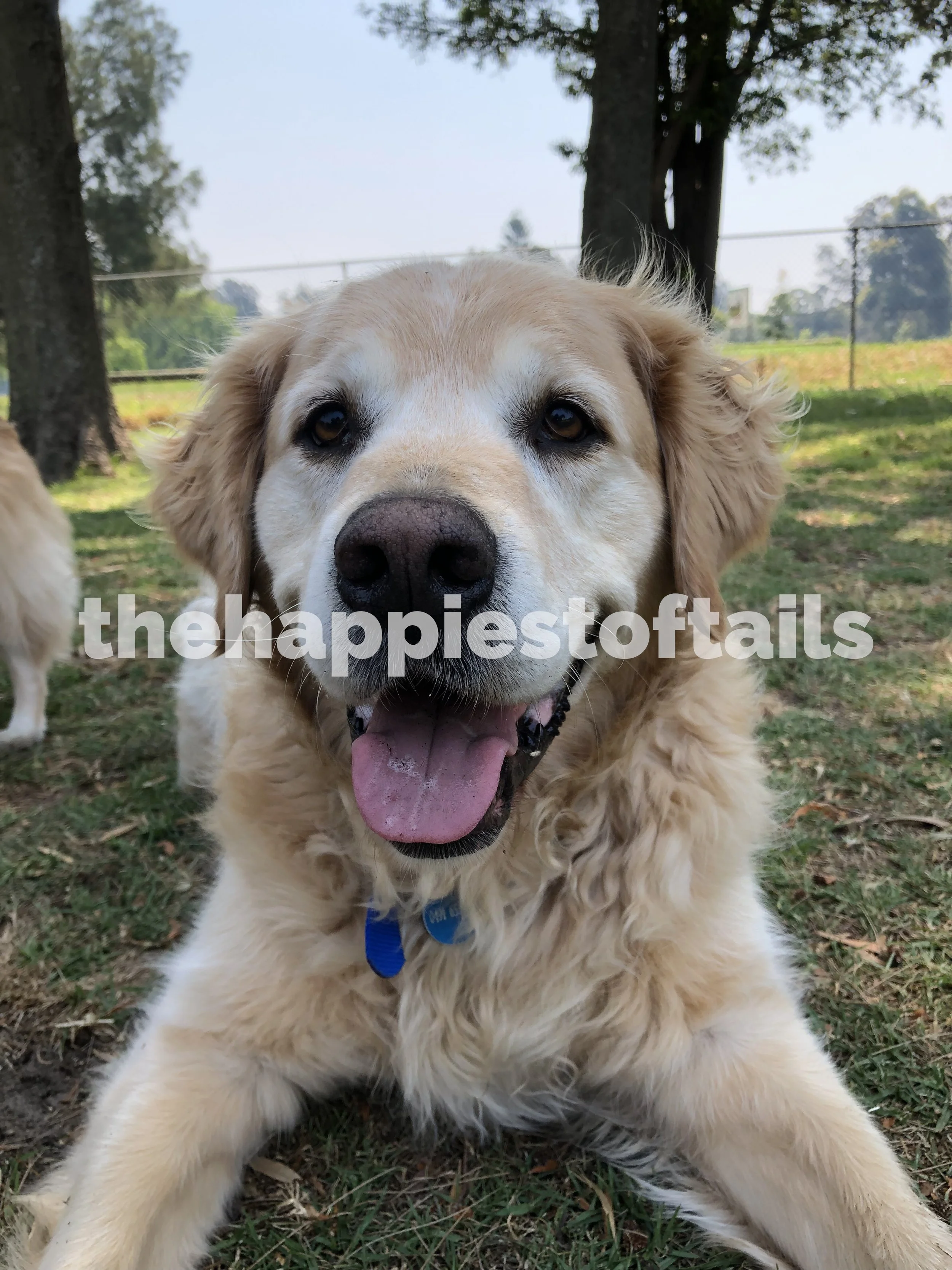  PHOTO CODE  ARCH19-078  