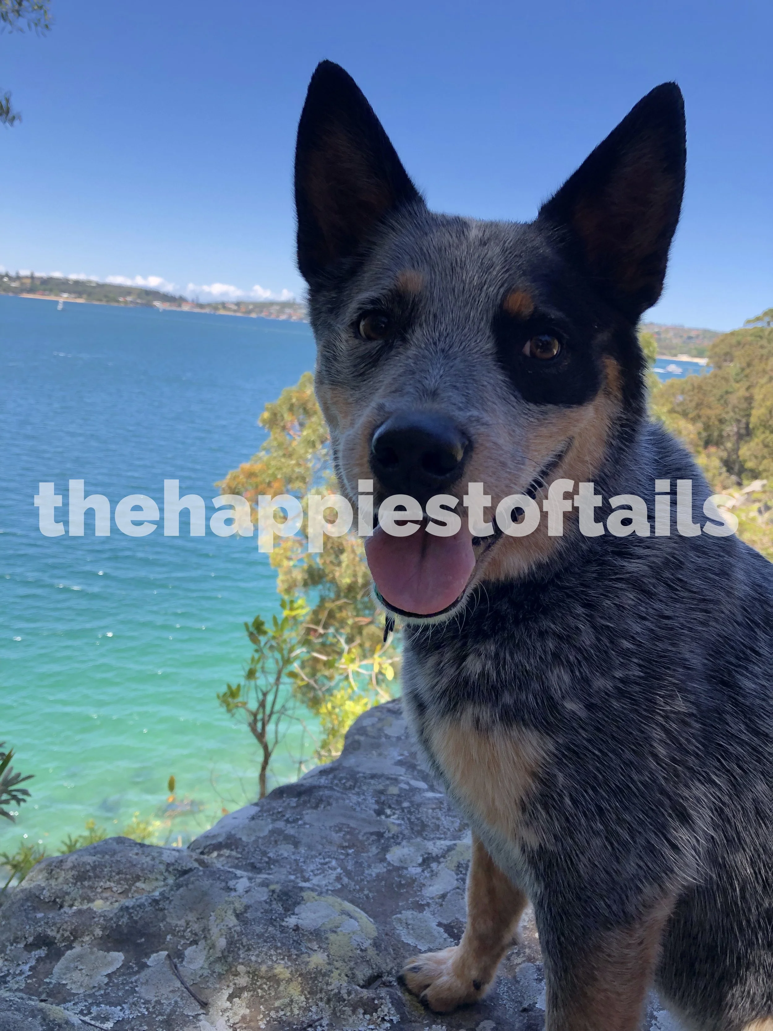  PHOTO CODE  ARCH19-048  