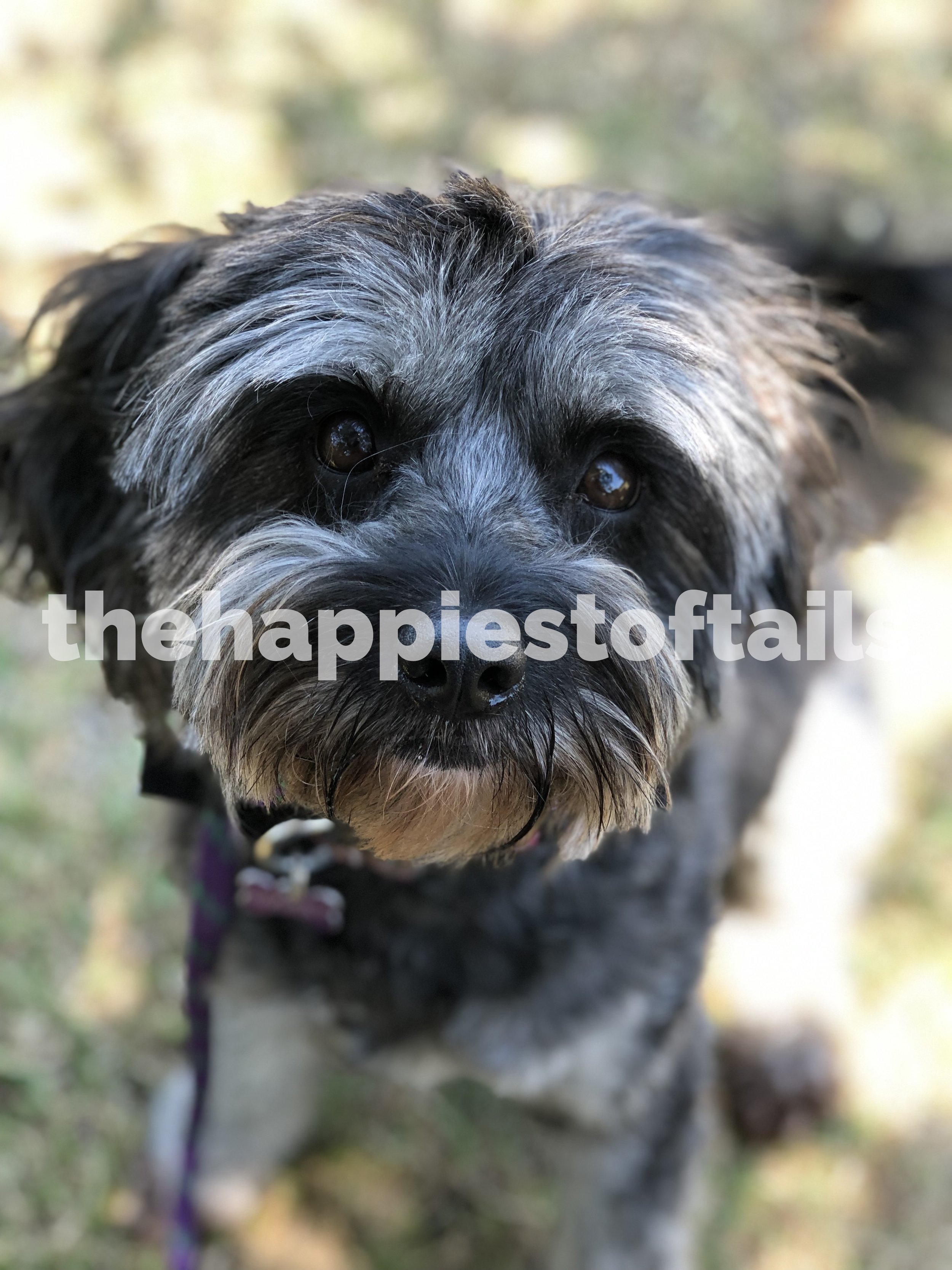  PHOTO CODE  ARCH19-010  