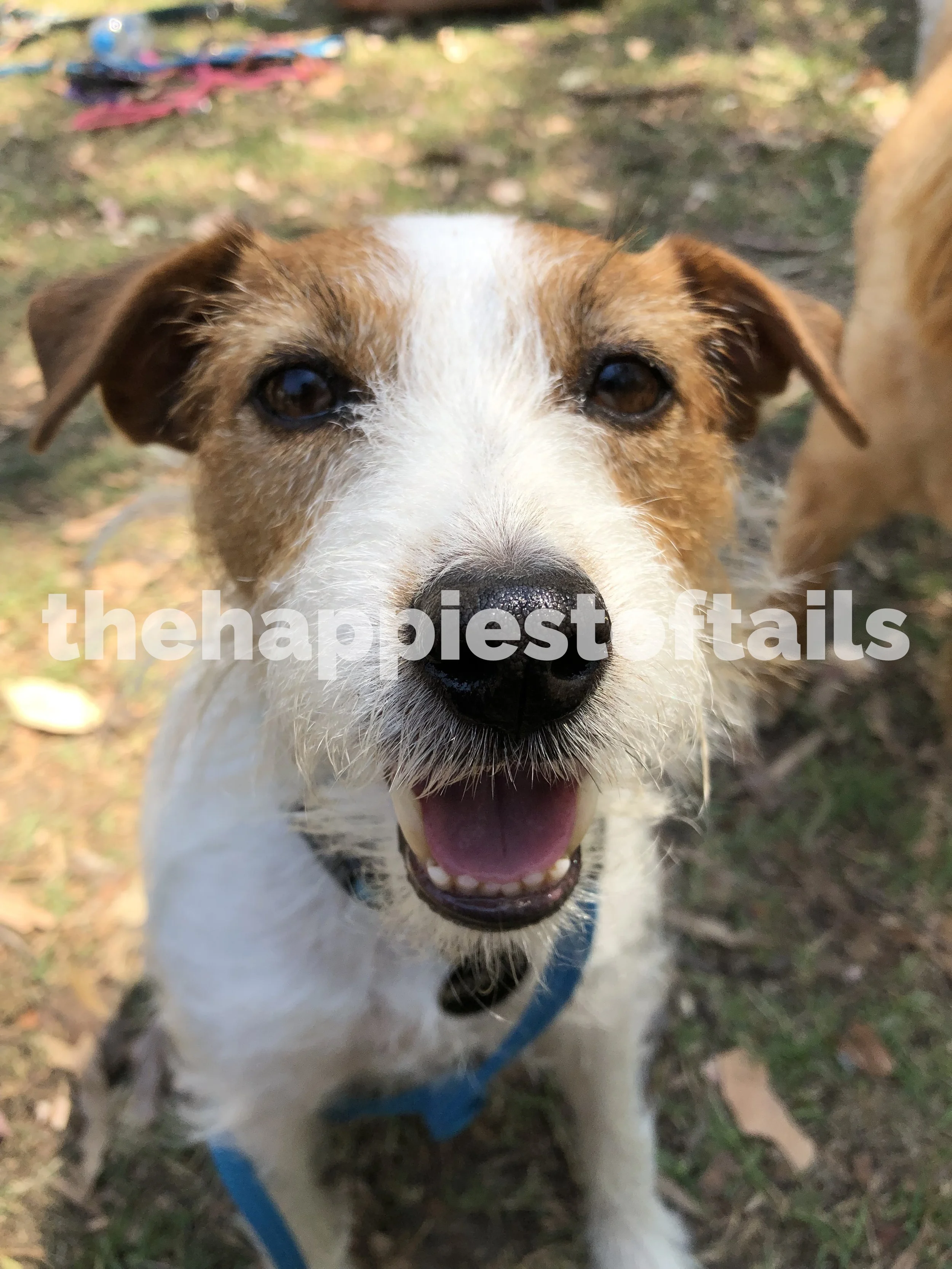  PHOTO CODE  ARCH19-043  