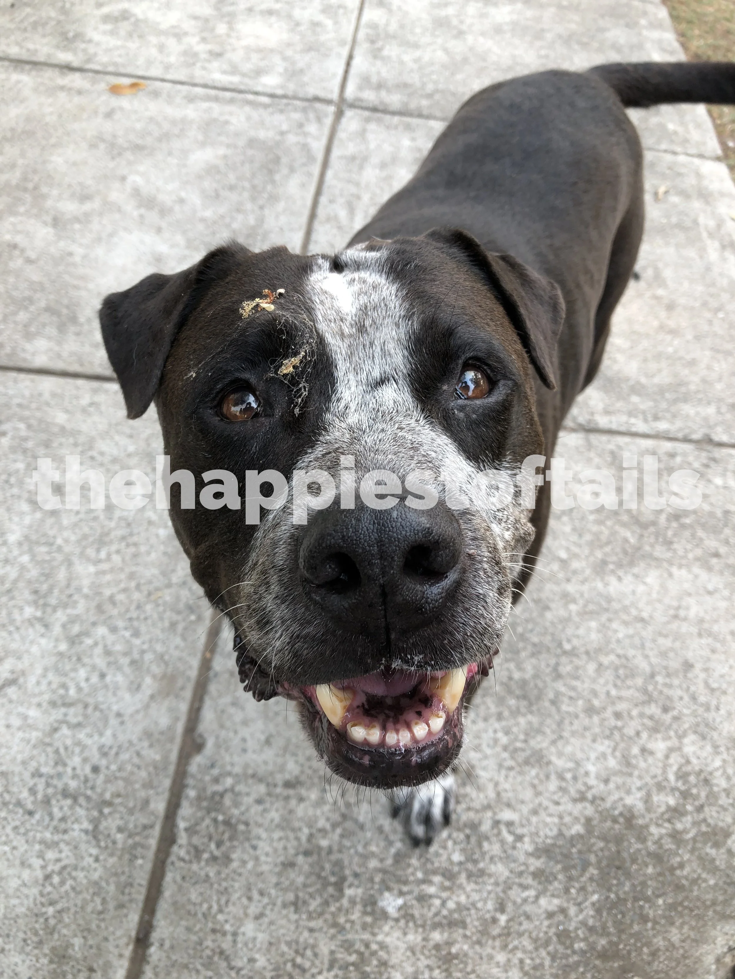  PHOTO CODE  ARCH19-054  