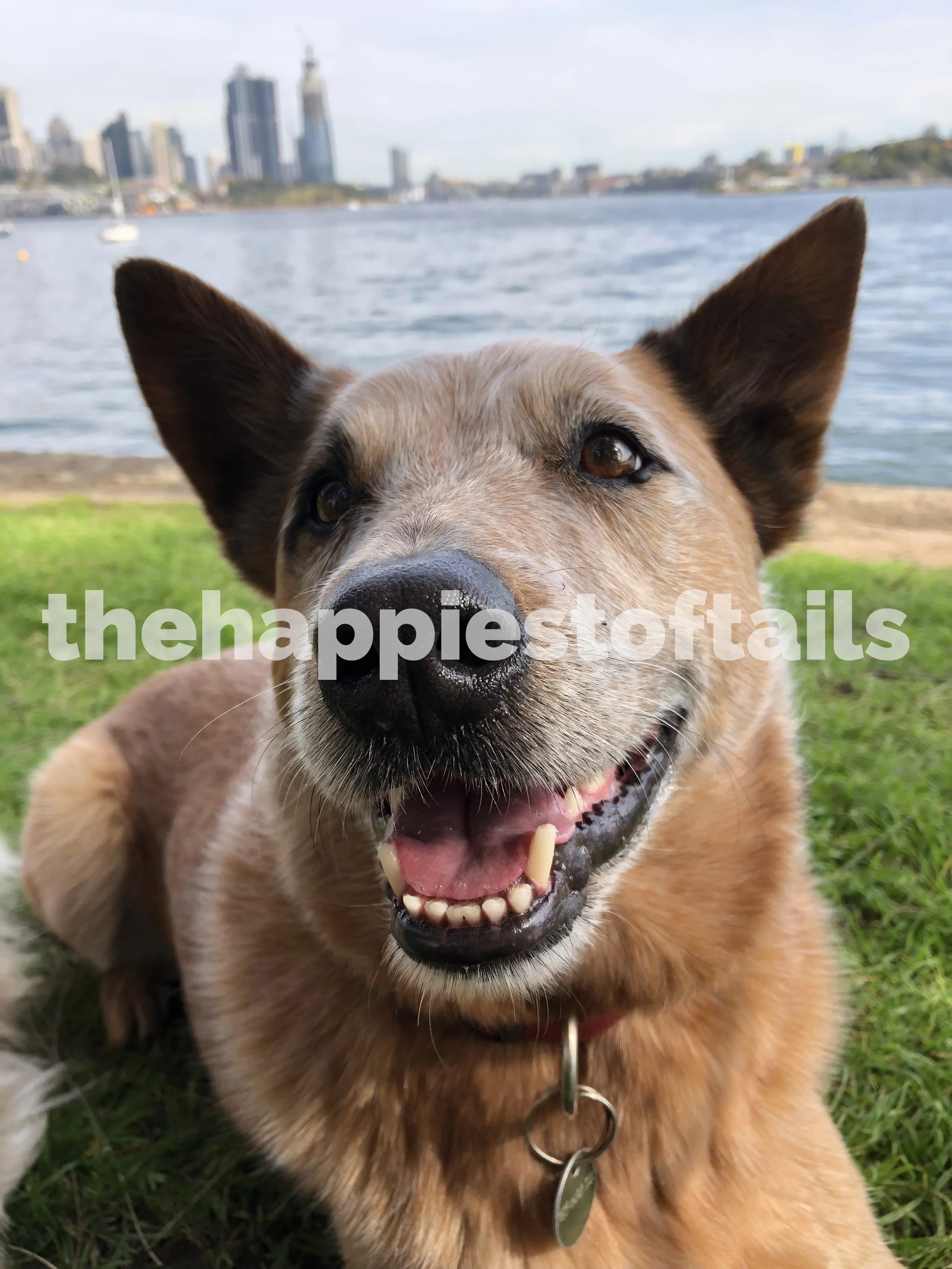  PHOTO CODE  ARCH19-064  