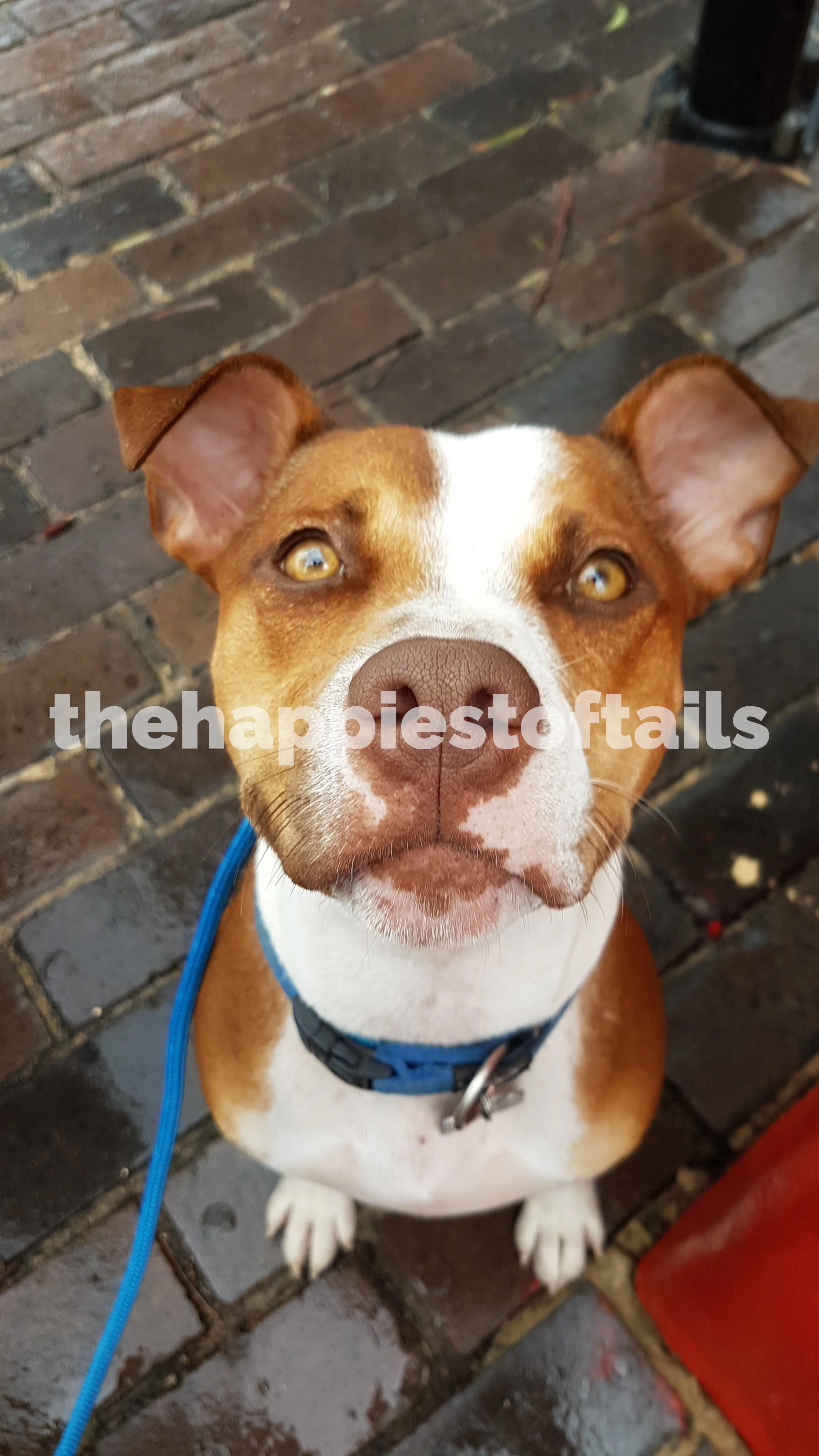  PHOTO CODE  ARCH18-002  