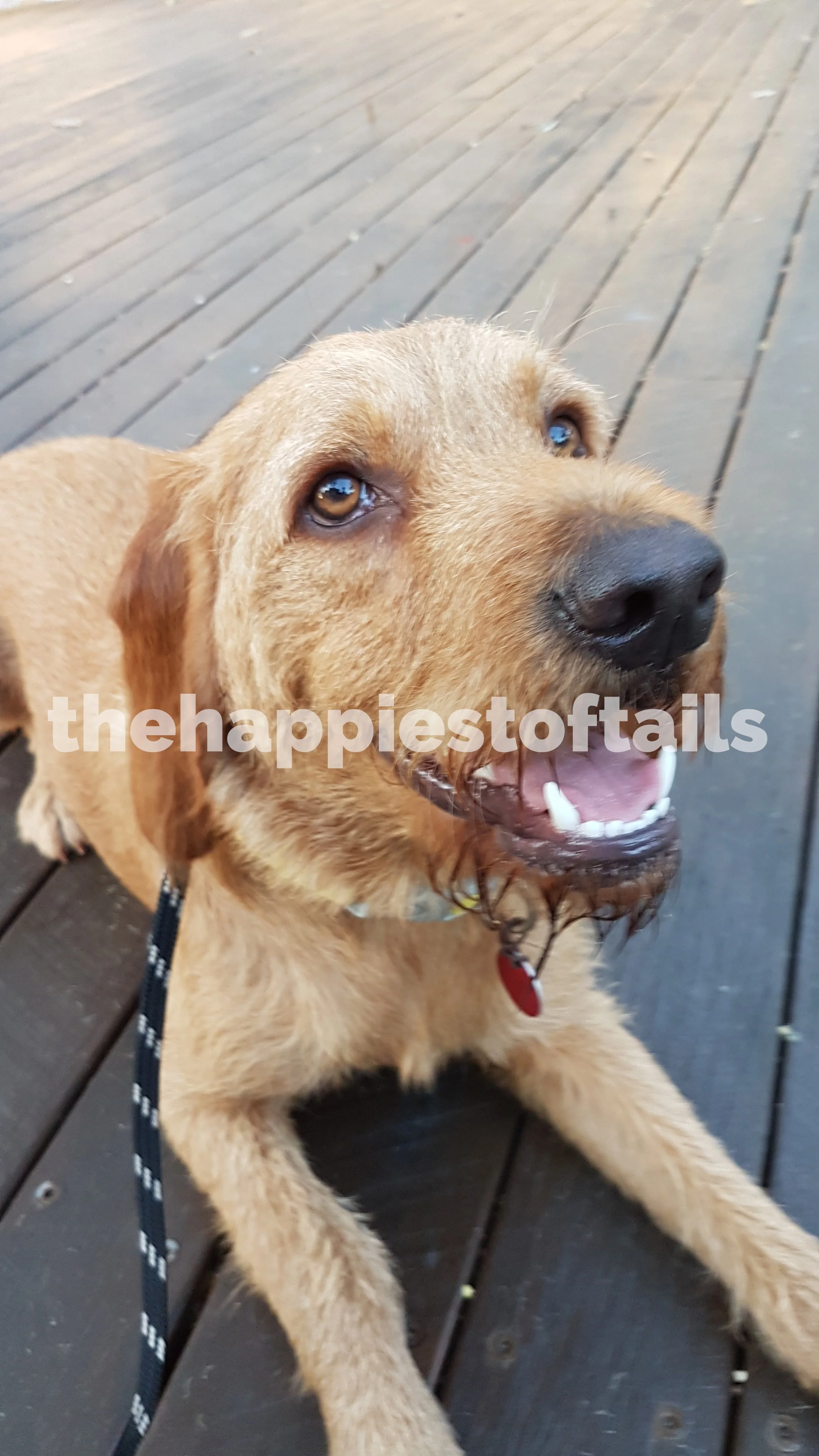  PHOTO CODE  ARCH18-010  