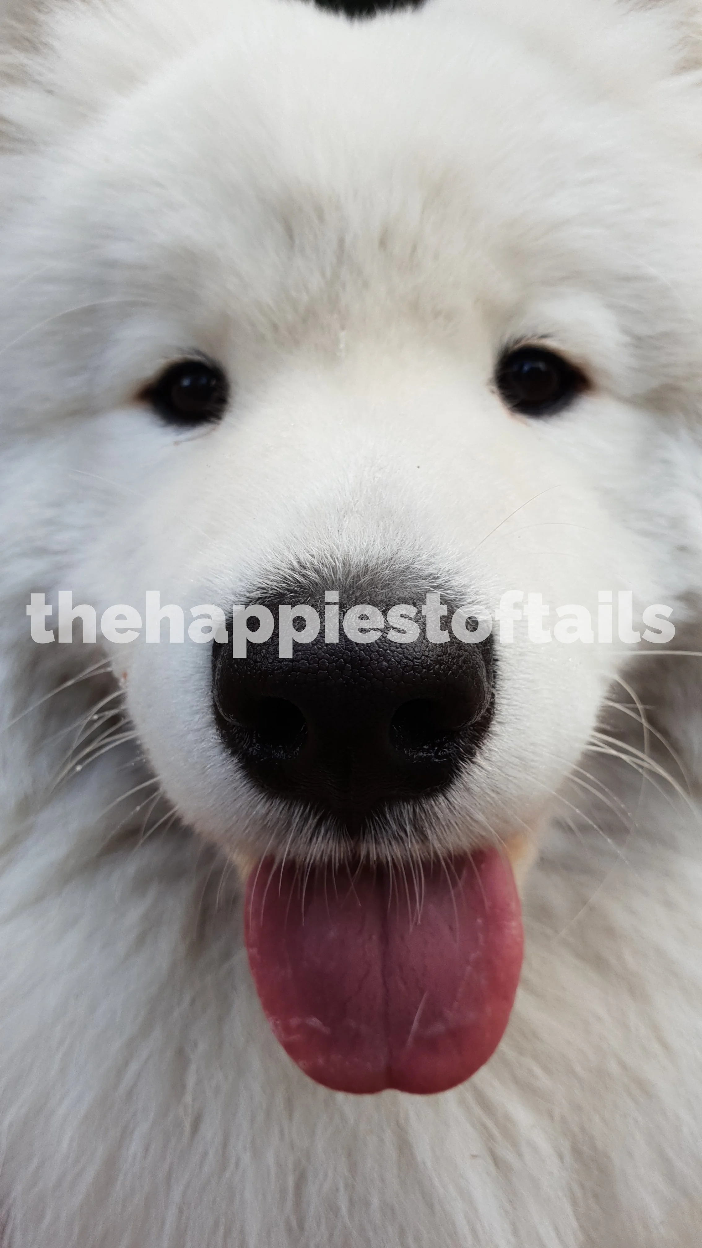  PHOTO CODE  ARCH18-068  