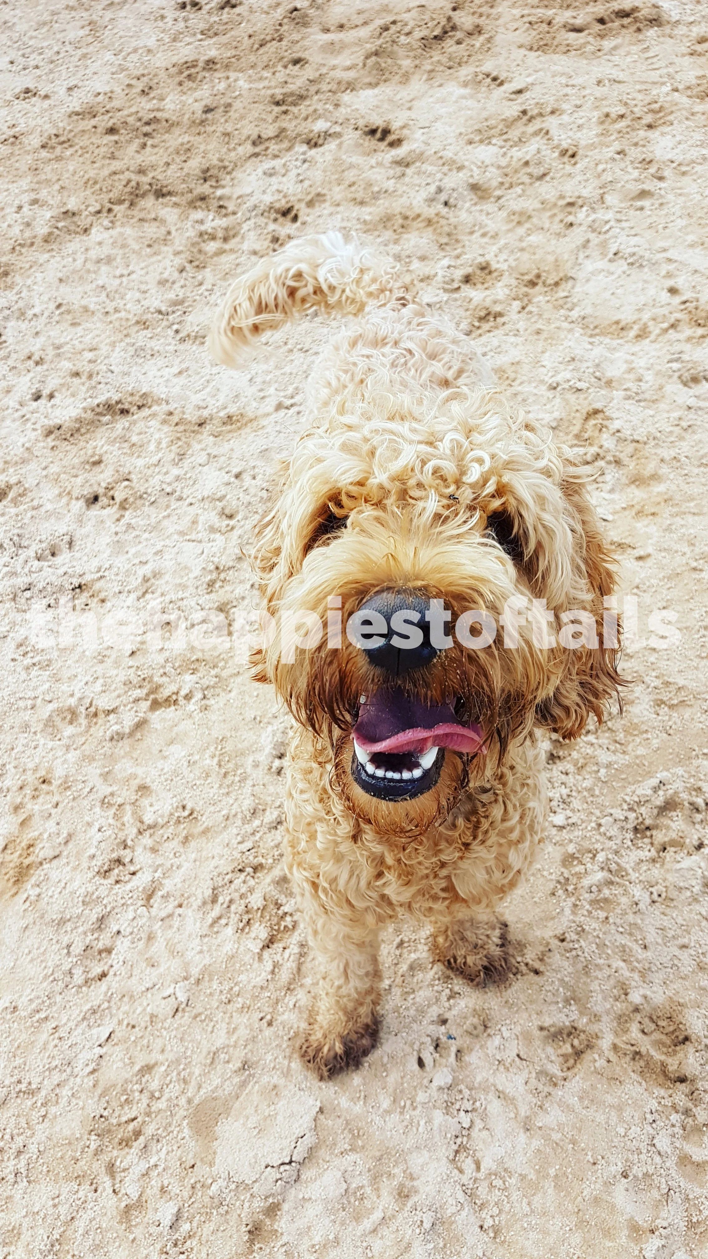  PHOTO CODE  ARCH18-035  