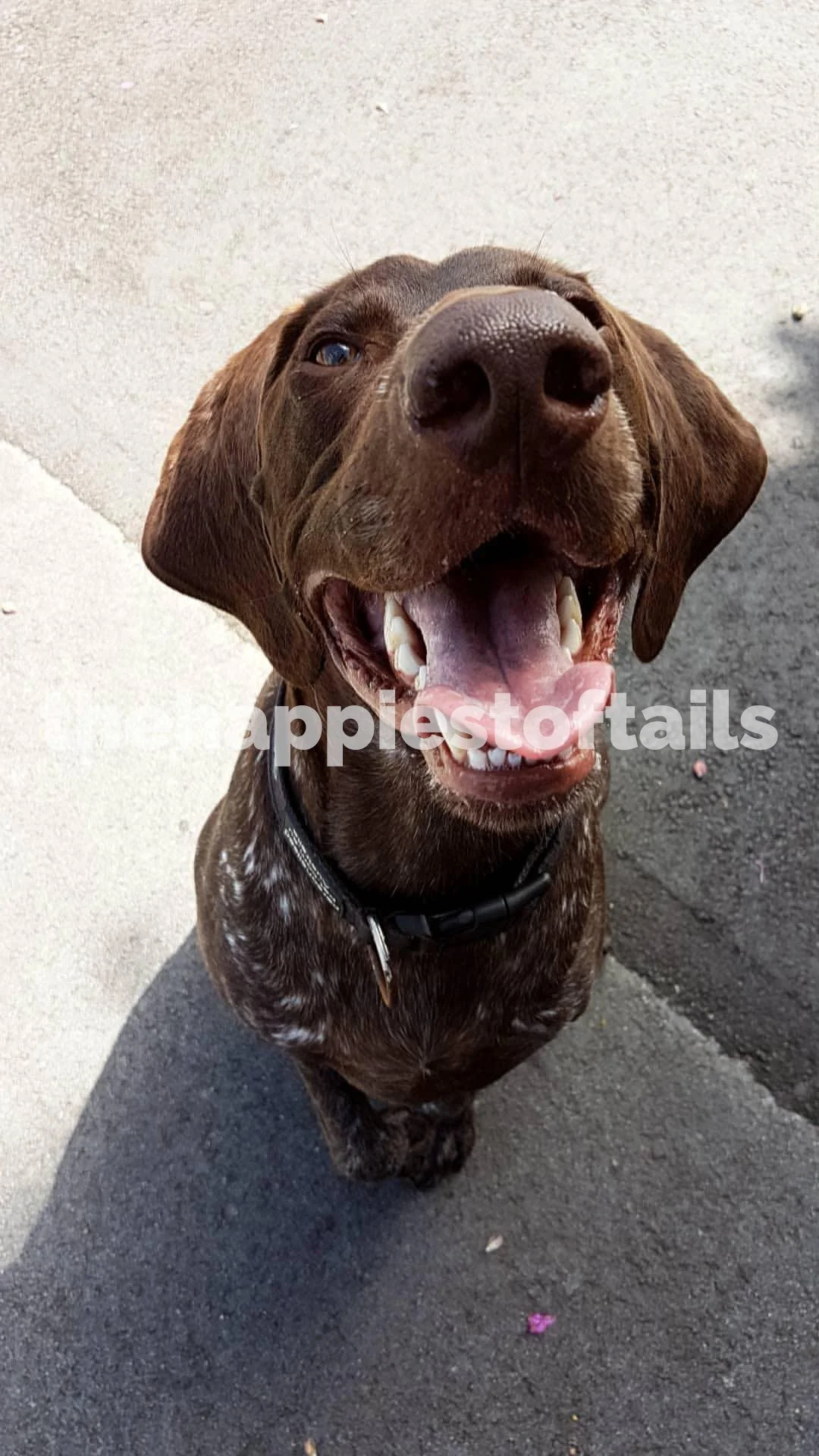  PHOTO CODE  ARCH18-062  