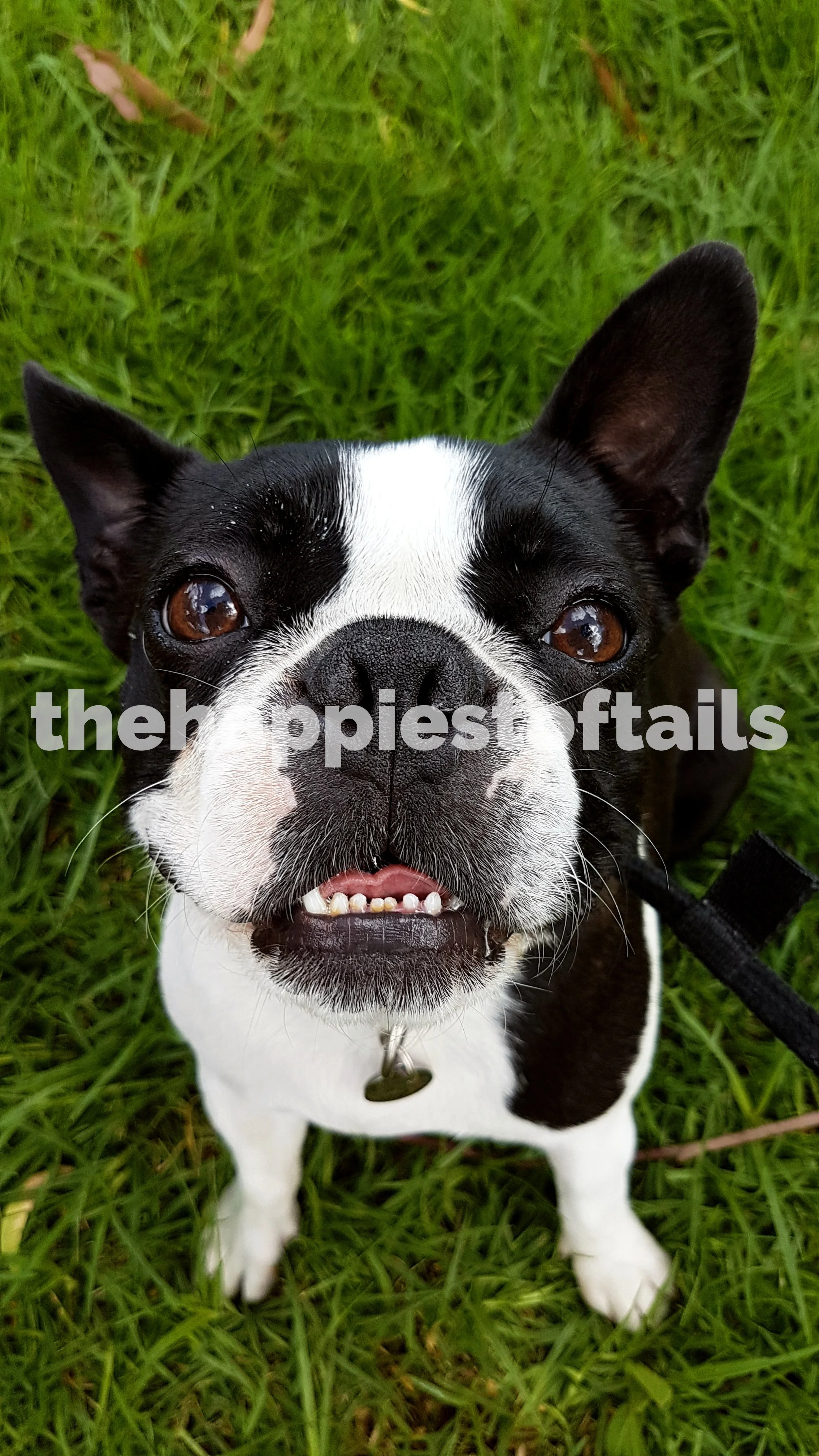  PHOTO CODE  ARCH19-060  