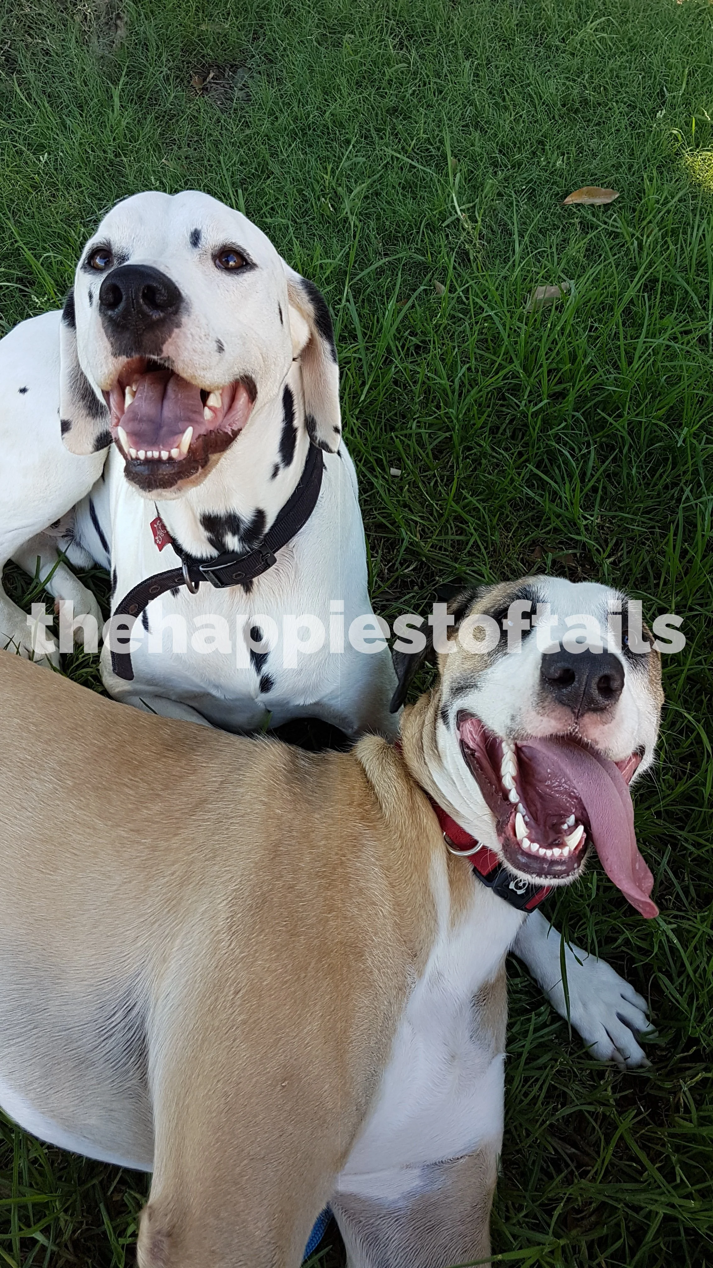  PHOTO CODE  ARCH18-042  