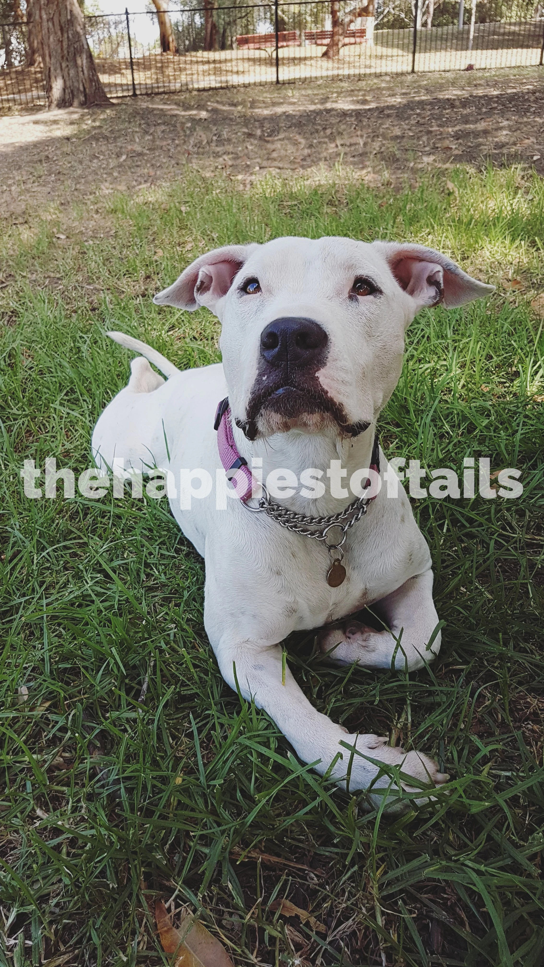  PHOTO CODE  ARCH18-077  