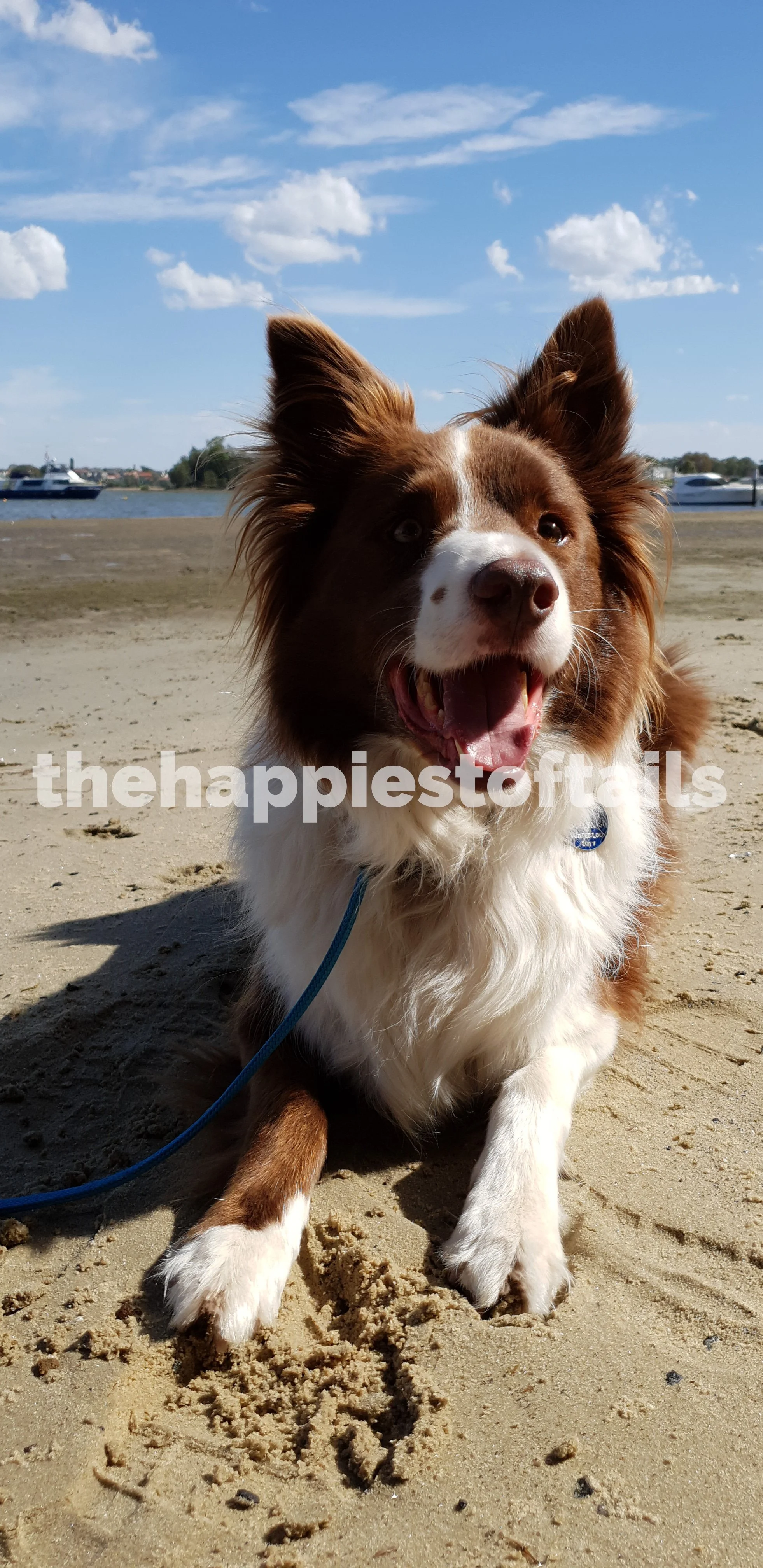  PHOTO CODE  ARCH18-085  