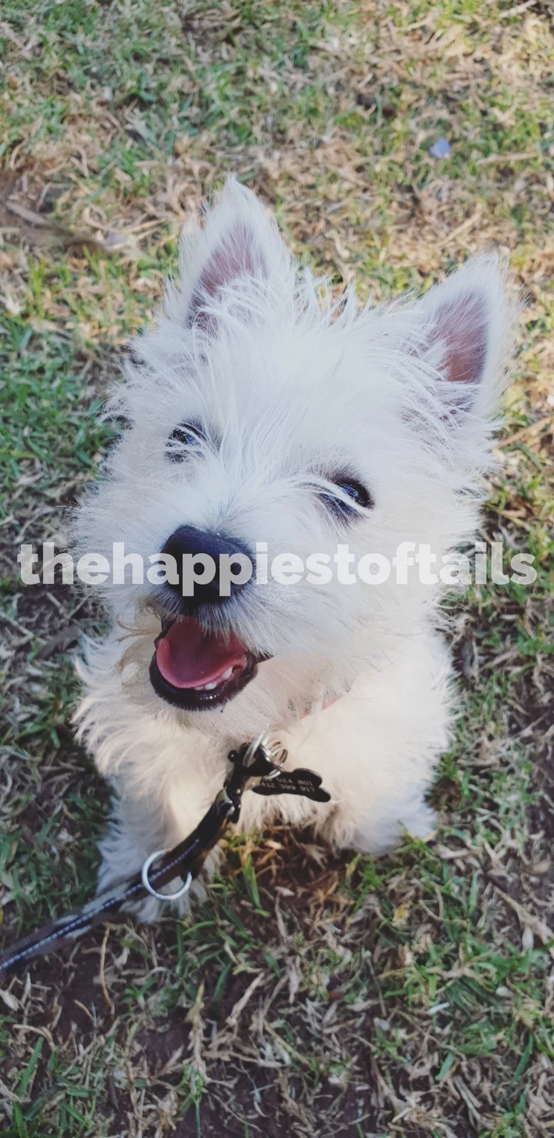  PHOTO CODE  ARCH18-058  