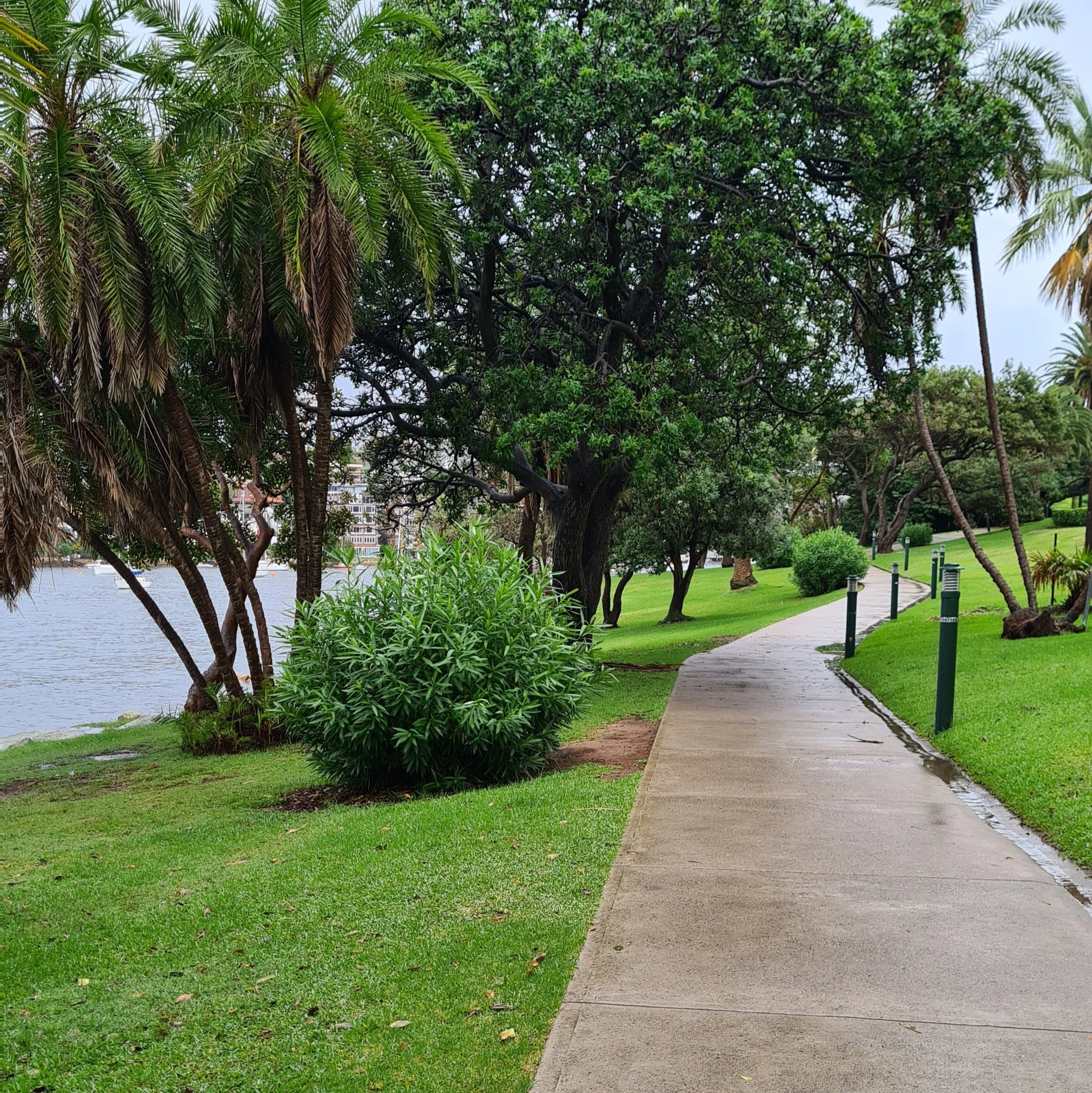 Cremorne Point Pathwalk