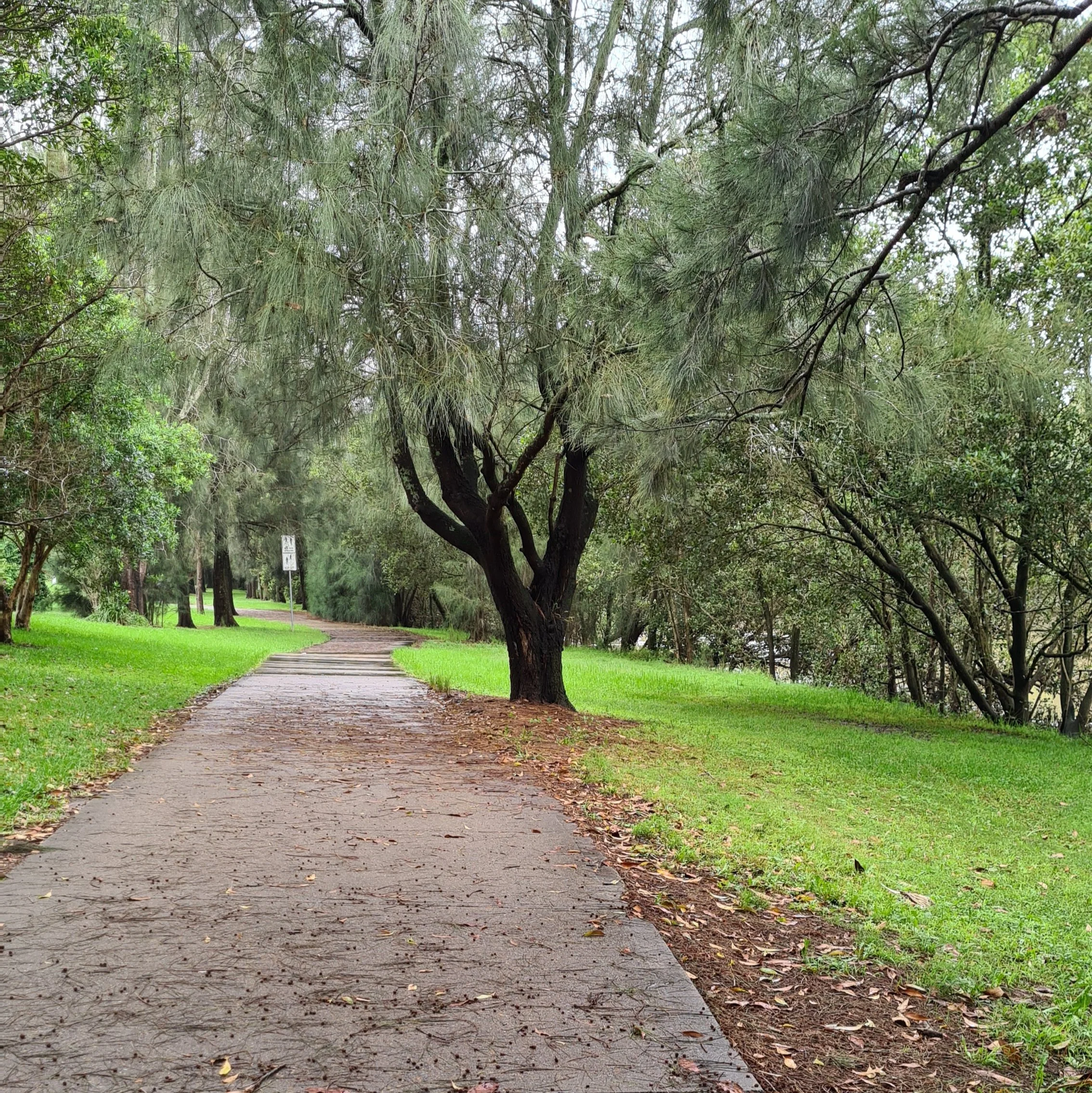 Cooks River Pathwalk