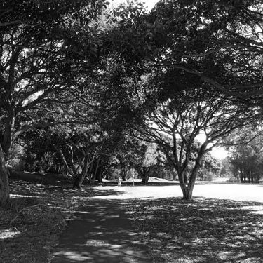 Hawthorne Canal Reserve