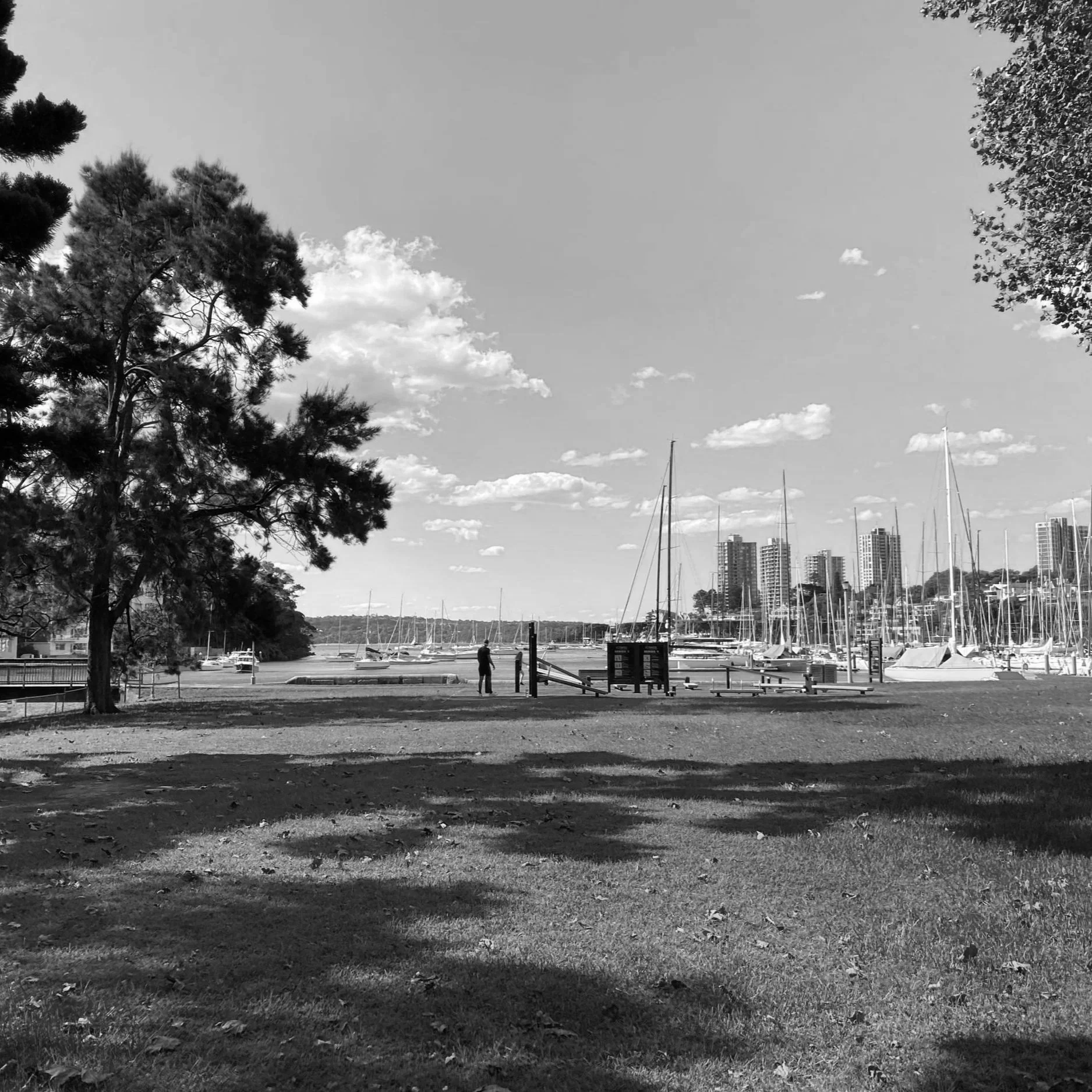 Rushcutters Bay Park