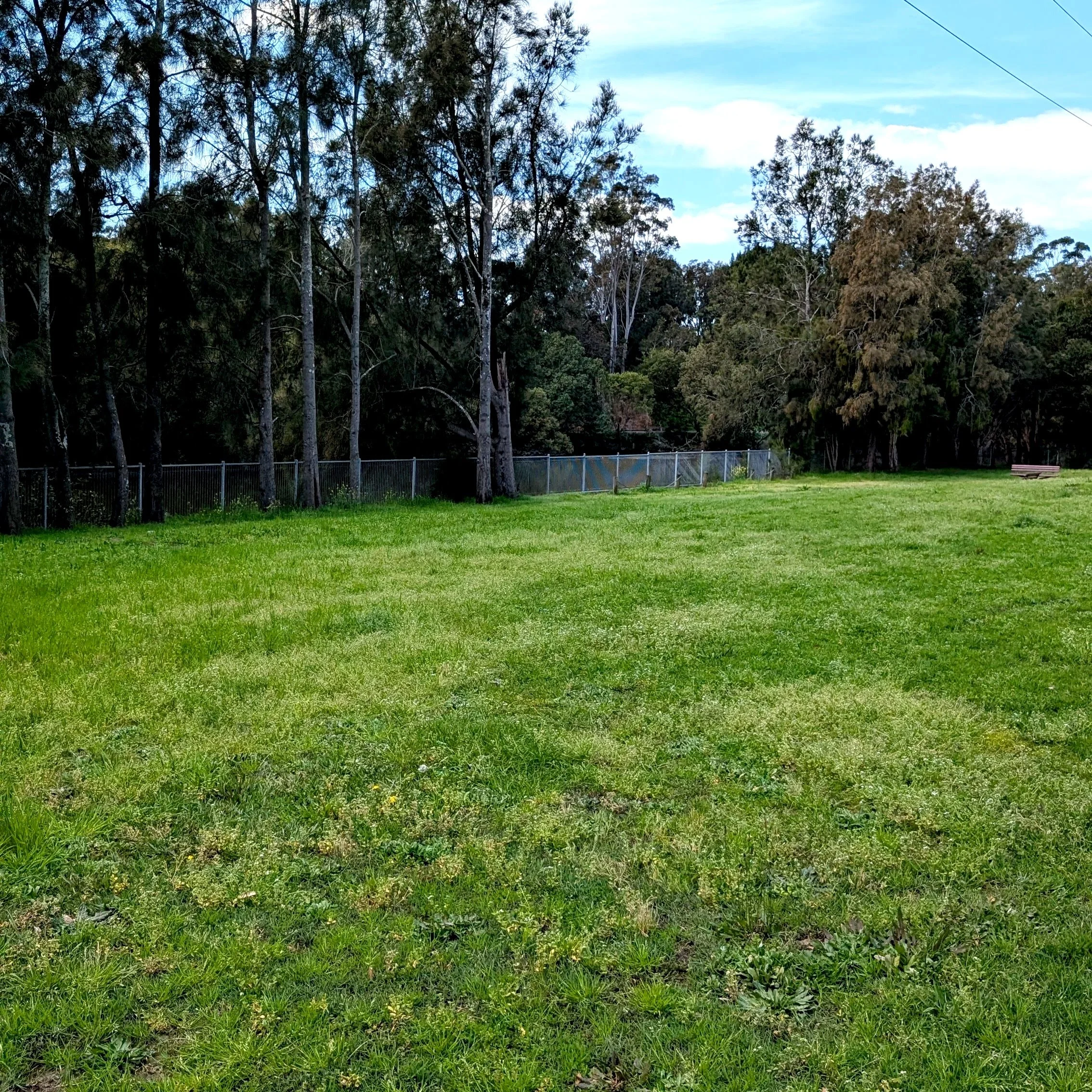 Little Tasker Park, Campsie